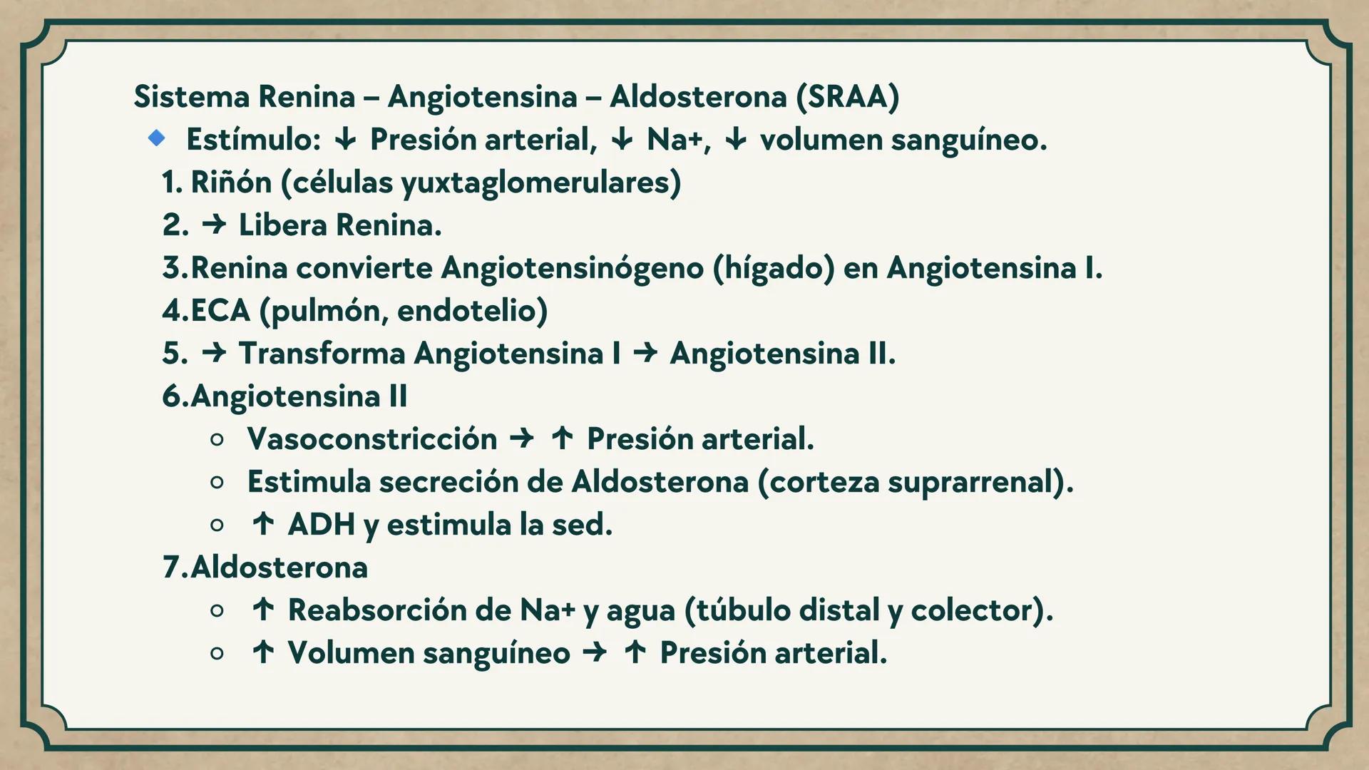 # CEPRE BICENTENARIO
# CAP 04: REPASO
# DE ANATOMÍA
Enc.: Erick F. Ludeña A. 1. ¿Qué tipo de tejido forma la epidermis?
A) Muscular liso
B
