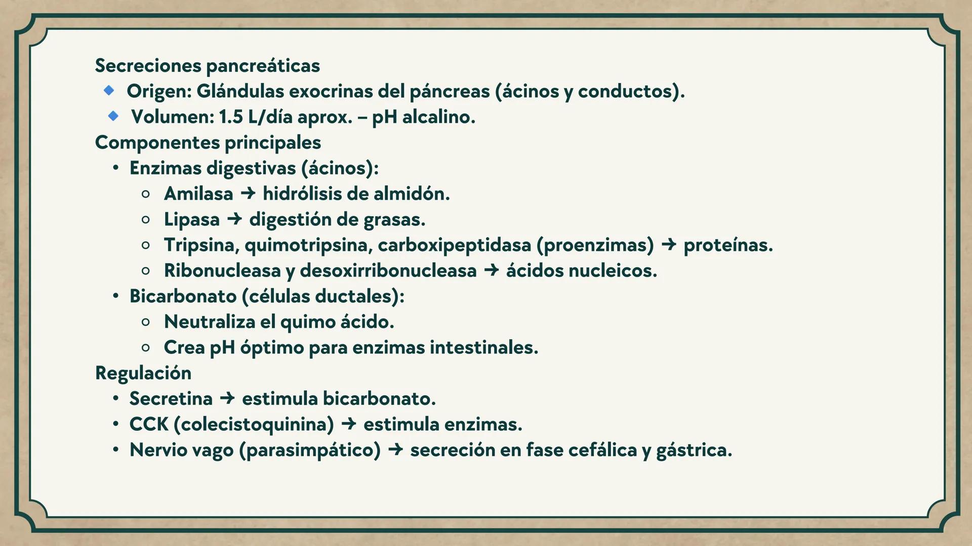 # CEPRE BICENTENARIO
# CAP 04: REPASO
# DE ANATOMÍA
Enc.: Erick F. Ludeña A. 1. ¿Qué tipo de tejido forma la epidermis?
A) Muscular liso
B