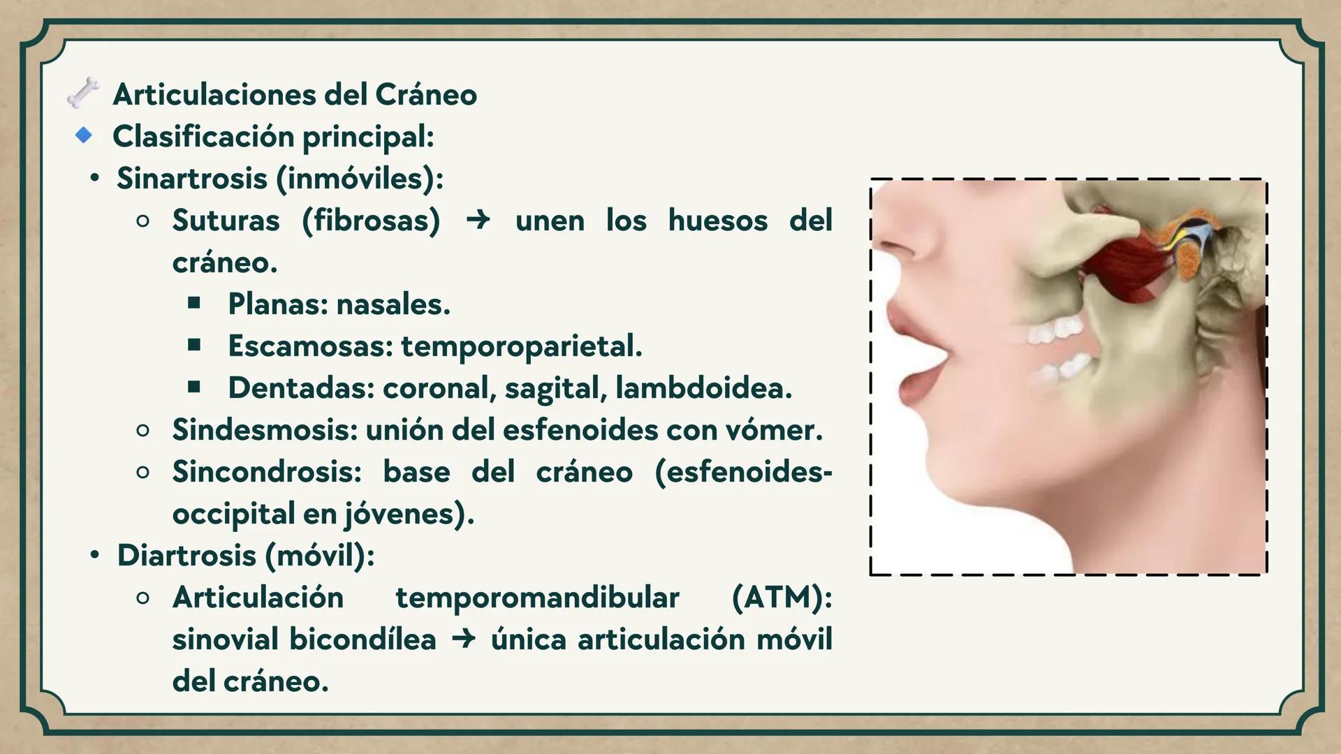 # CEPRE BICENTENARIO
# CAP 04: REPASO
# DE ANATOMÍA
Enc.: Erick F. Ludeña A. 1. ¿Qué tipo de tejido forma la epidermis?
A) Muscular liso
B