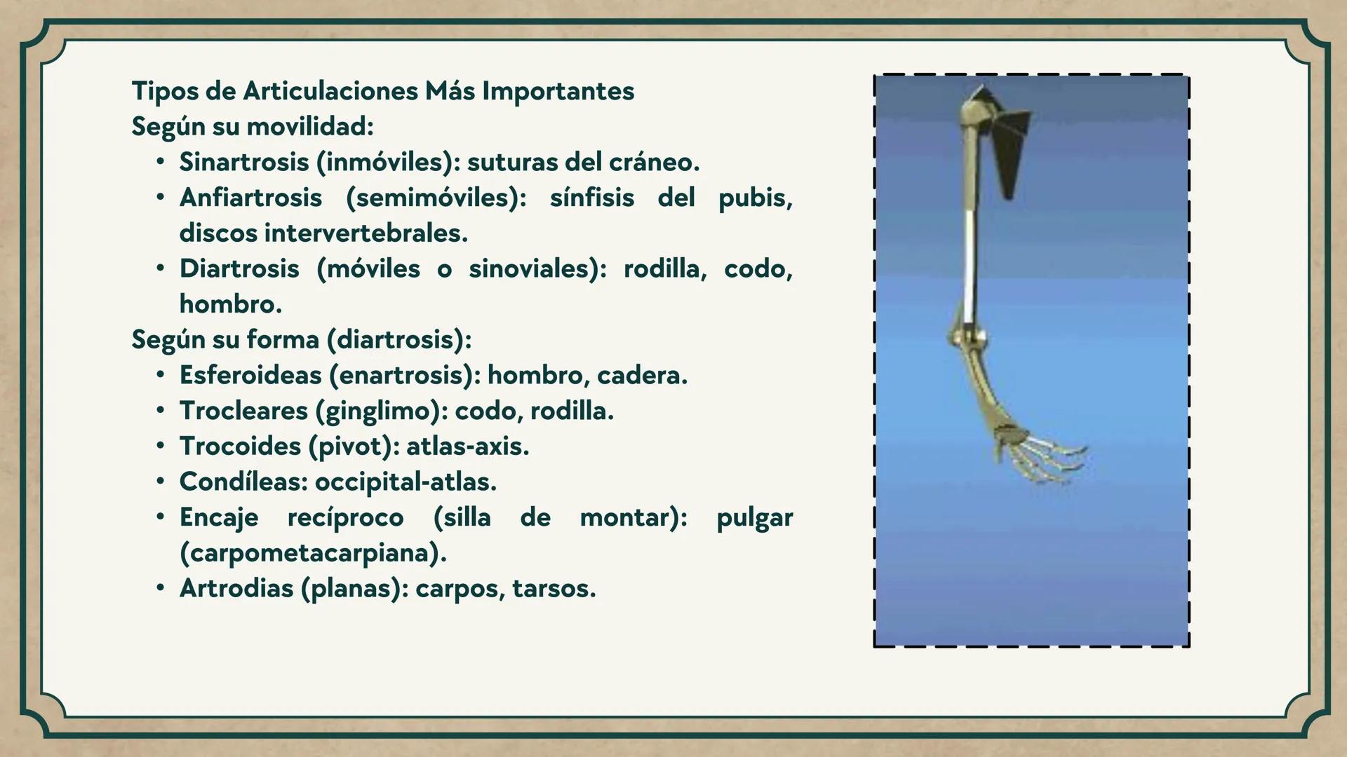 # CEPRE BICENTENARIO
# CAP 04: REPASO
# DE ANATOMÍA
Enc.: Erick F. Ludeña A. 1. ¿Qué tipo de tejido forma la epidermis?
A) Muscular liso
B