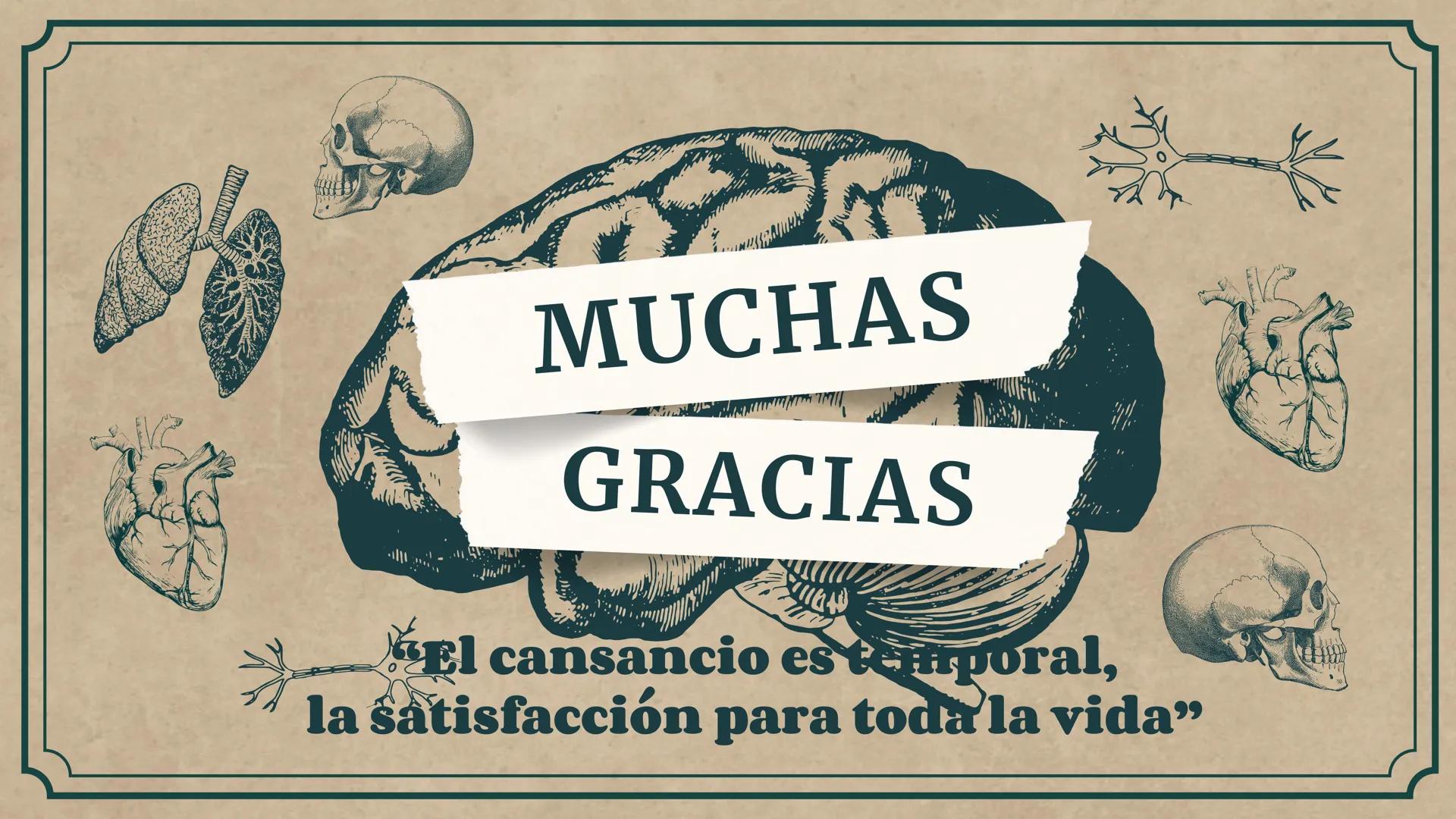 # CEPRE BICENTENARIO
# CAP 04: REPASO
# DE ANATOMÍA
Enc.: Erick F. Ludeña A. 1. ¿Qué tipo de tejido forma la epidermis?
A) Muscular liso
B