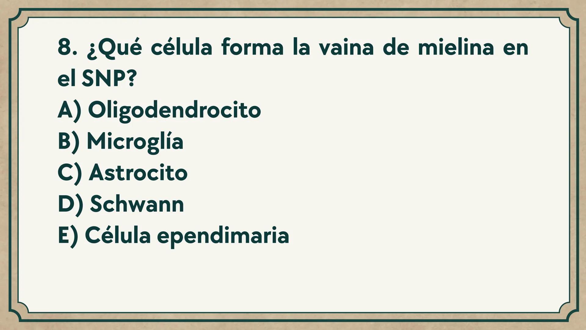 # CEPRE BICENTENARIO
# CAP 04: REPASO
# DE ANATOMÍA
Enc.: Erick F. Ludeña A. 1. ¿Qué tipo de tejido forma la epidermis?
A) Muscular liso
B