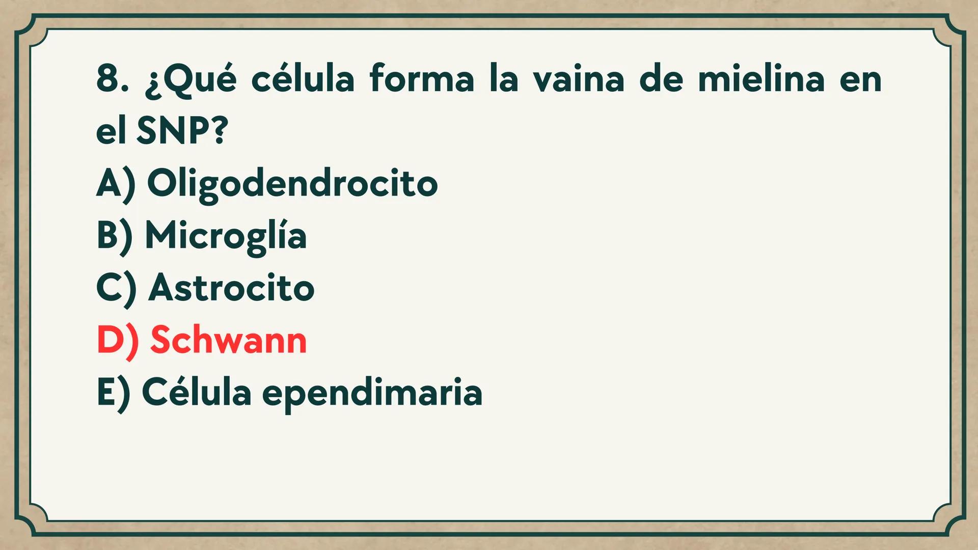 # CEPRE BICENTENARIO
# CAP 04: REPASO
# DE ANATOMÍA
Enc.: Erick F. Ludeña A. 1. ¿Qué tipo de tejido forma la epidermis?
A) Muscular liso
B
