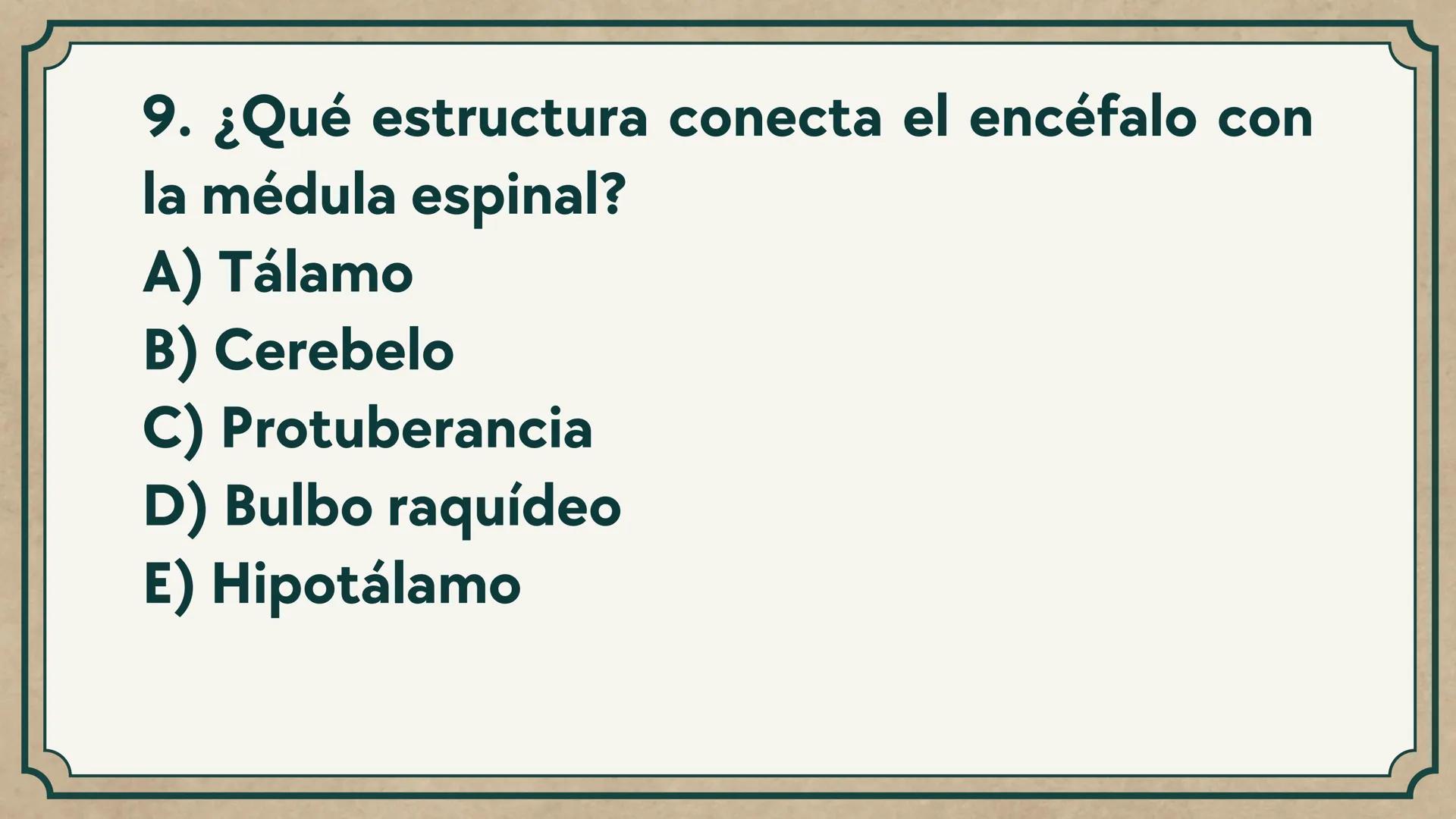 # CEPRE BICENTENARIO
# CAP 04: REPASO
# DE ANATOMÍA
Enc.: Erick F. Ludeña A. 1. ¿Qué tipo de tejido forma la epidermis?
A) Muscular liso
B
