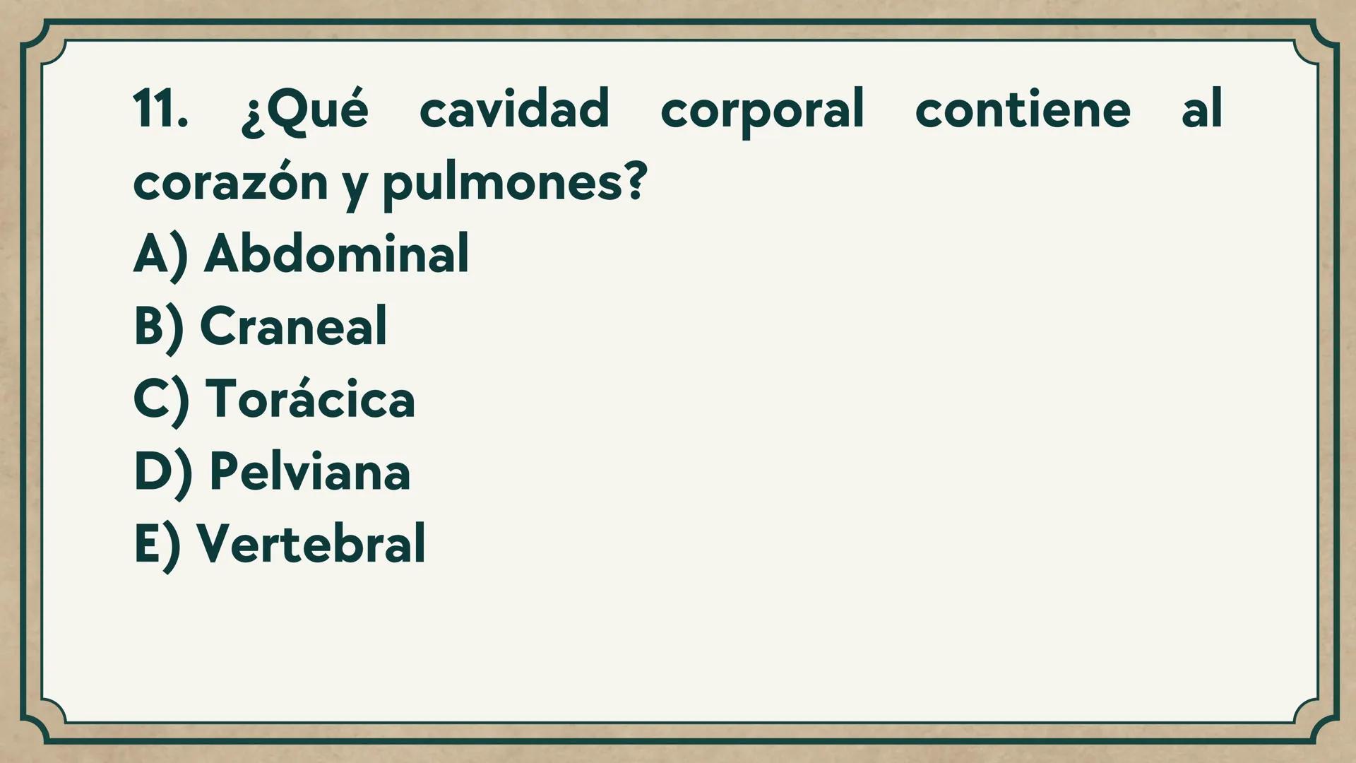 # CEPRE BICENTENARIO
# CAP 04: REPASO
# DE ANATOMÍA
Enc.: Erick F. Ludeña A. 1. ¿Qué tipo de tejido forma la epidermis?
A) Muscular liso
B