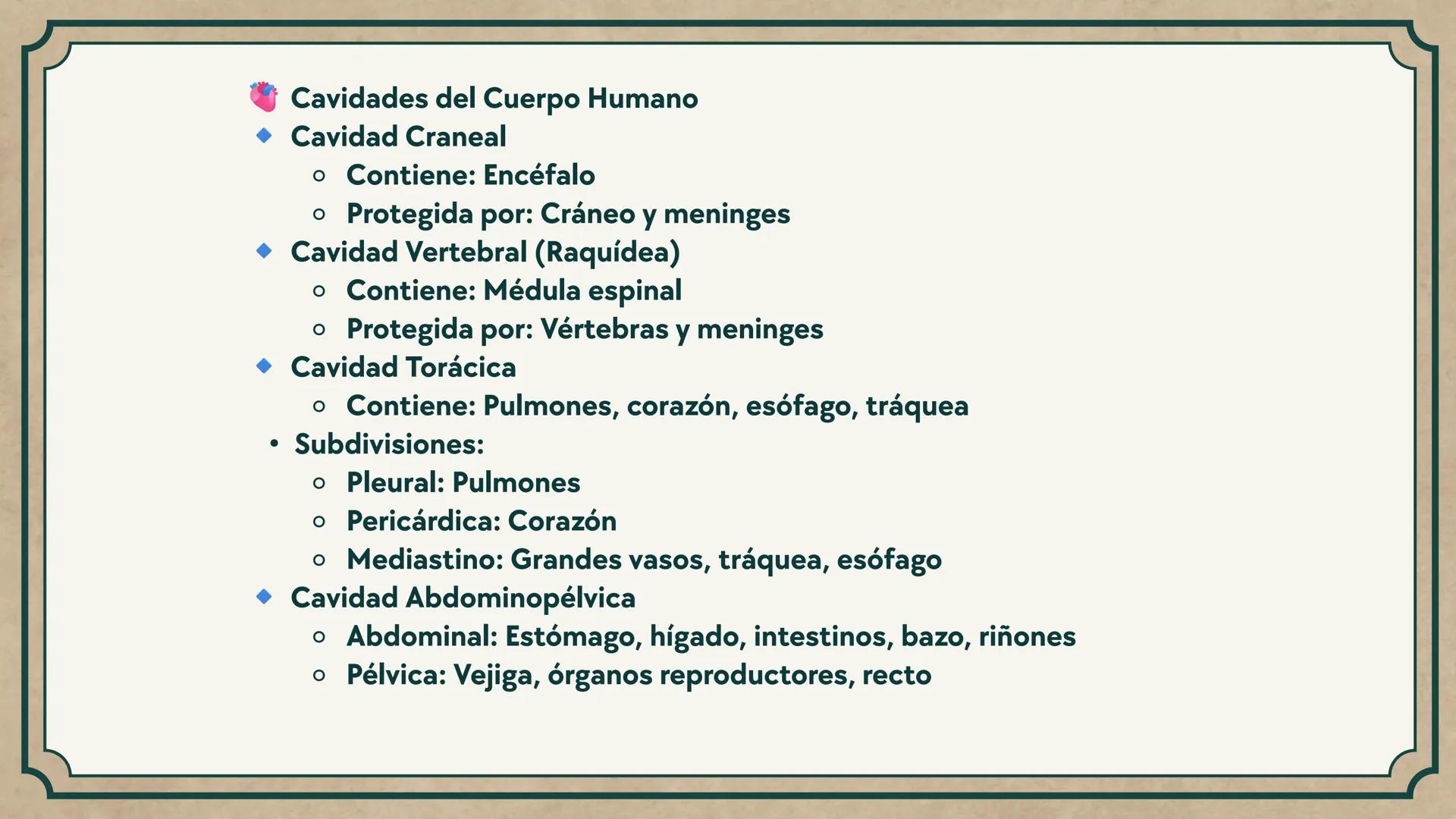 # CEPRE BICENTENARIO
# CAP 04: REPASO
# DE ANATOMÍA
Enc.: Erick F. Ludeña A. 1. ¿Qué tipo de tejido forma la epidermis?
A) Muscular liso
B