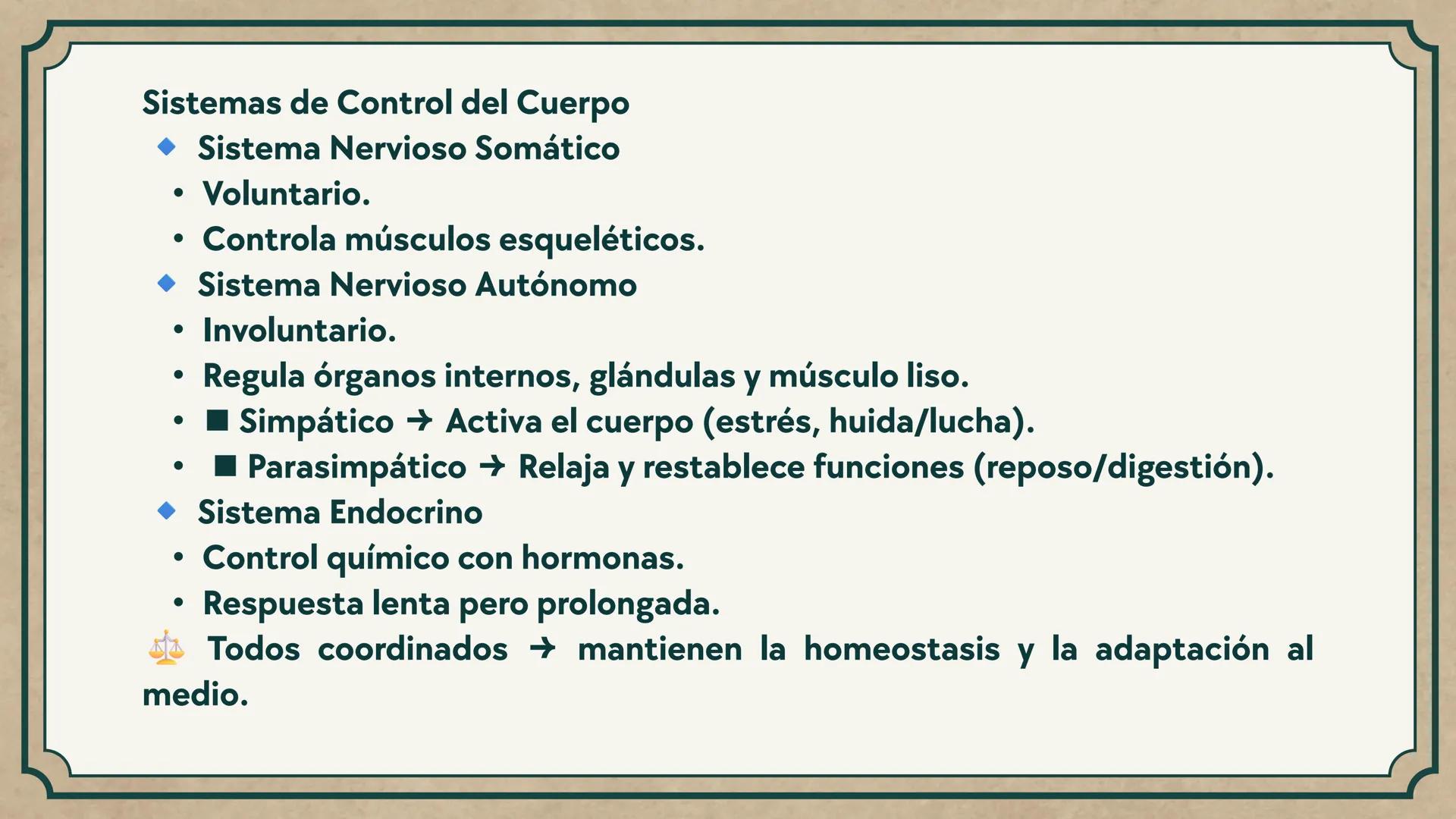 # CEPRE BICENTENARIO
# CAP 04: REPASO
# DE ANATOMÍA
Enc.: Erick F. Ludeña A. 1. ¿Qué tipo de tejido forma la epidermis?
A) Muscular liso
B