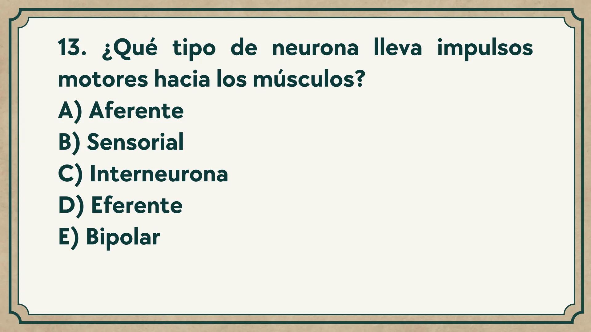 # CEPRE BICENTENARIO
# CAP 04: REPASO
# DE ANATOMÍA
Enc.: Erick F. Ludeña A. 1. ¿Qué tipo de tejido forma la epidermis?
A) Muscular liso
B