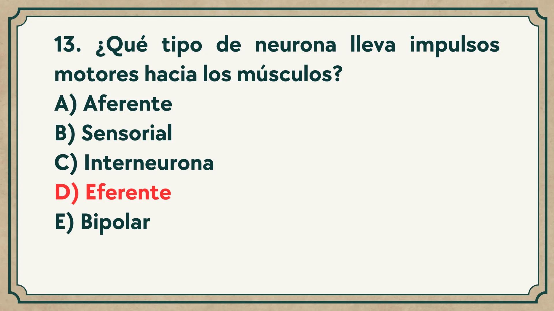 # CEPRE BICENTENARIO
# CAP 04: REPASO
# DE ANATOMÍA
Enc.: Erick F. Ludeña A. 1. ¿Qué tipo de tejido forma la epidermis?
A) Muscular liso
B