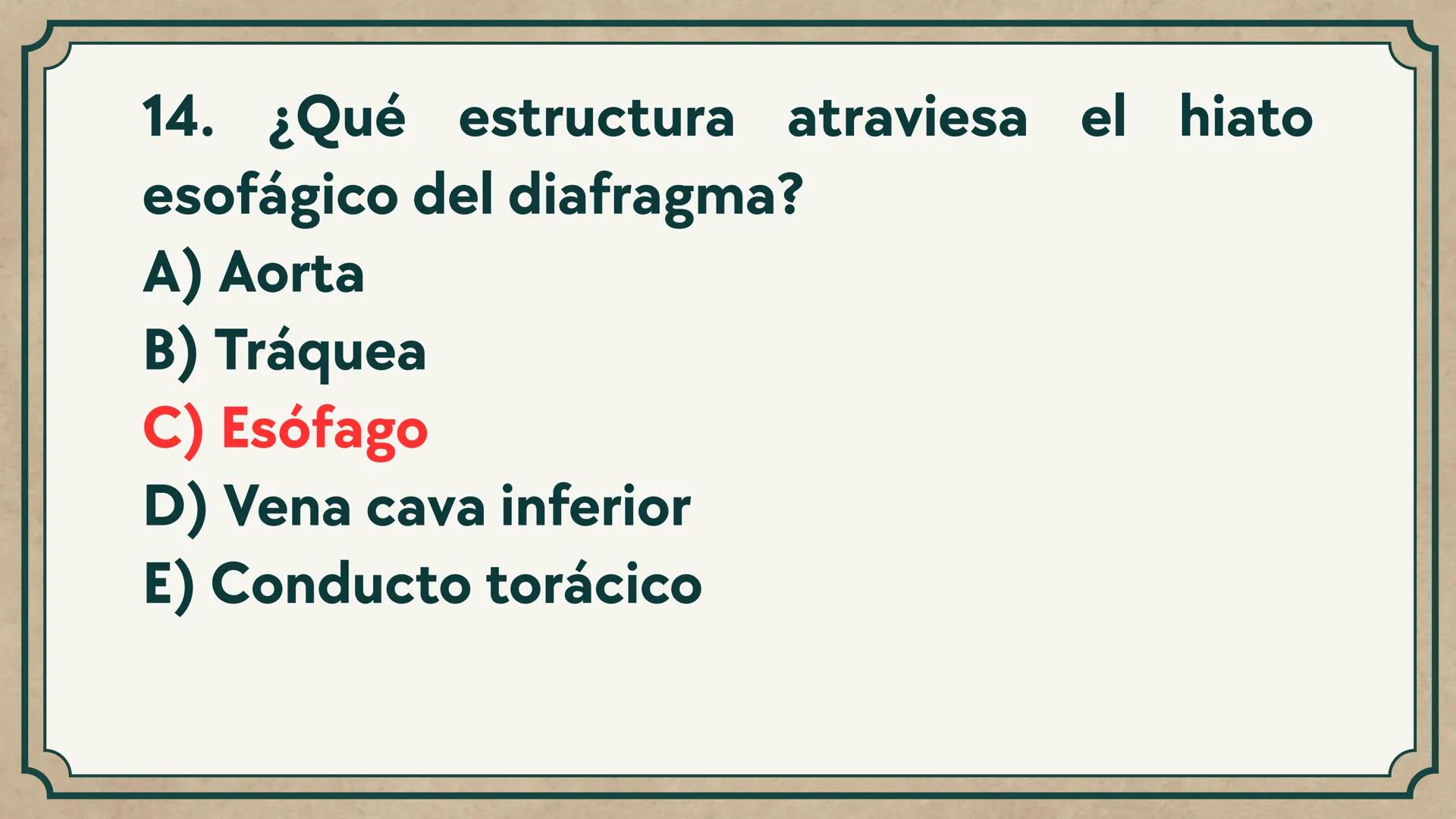 # CEPRE BICENTENARIO
# CAP 04: REPASO
# DE ANATOMÍA
Enc.: Erick F. Ludeña A. 1. ¿Qué tipo de tejido forma la epidermis?
A) Muscular liso
B