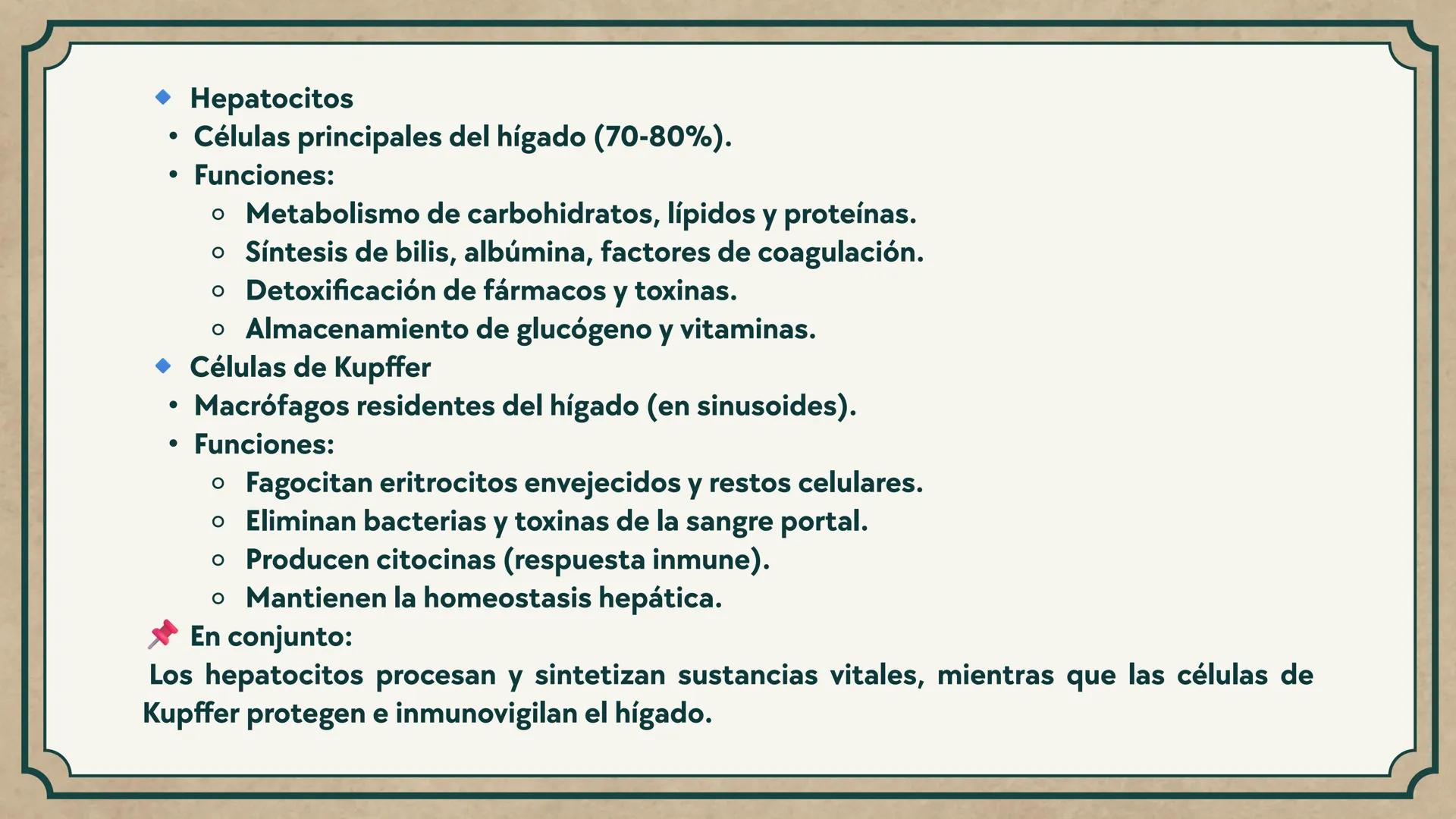 # CEPRE BICENTENARIO
# CAP 04: REPASO
# DE ANATOMÍA
Enc.: Erick F. Ludeña A. 1. ¿Qué tipo de tejido forma la epidermis?
A) Muscular liso
B