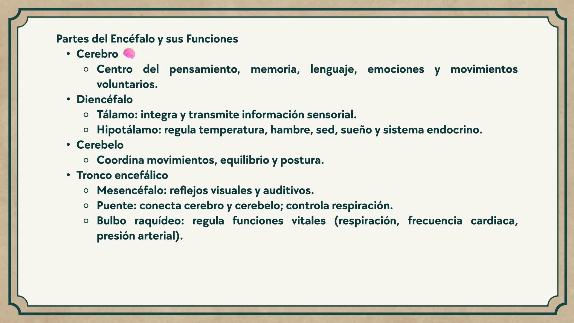 # CEPRE BICENTENARIO
# CAP 04: REPASO
# DE ANATOMÍA
Enc.: Erick F. Ludeña A. 1. ¿Qué tipo de tejido forma la epidermis?
A) Muscular liso
B