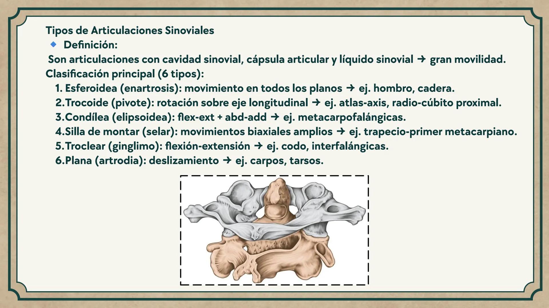 # CEPRE BICENTENARIO
# CAP 04: REPASO
# DE ANATOMÍA
Enc.: Erick F. Ludeña A. 1. ¿Qué tipo de tejido forma la epidermis?
A) Muscular liso
B