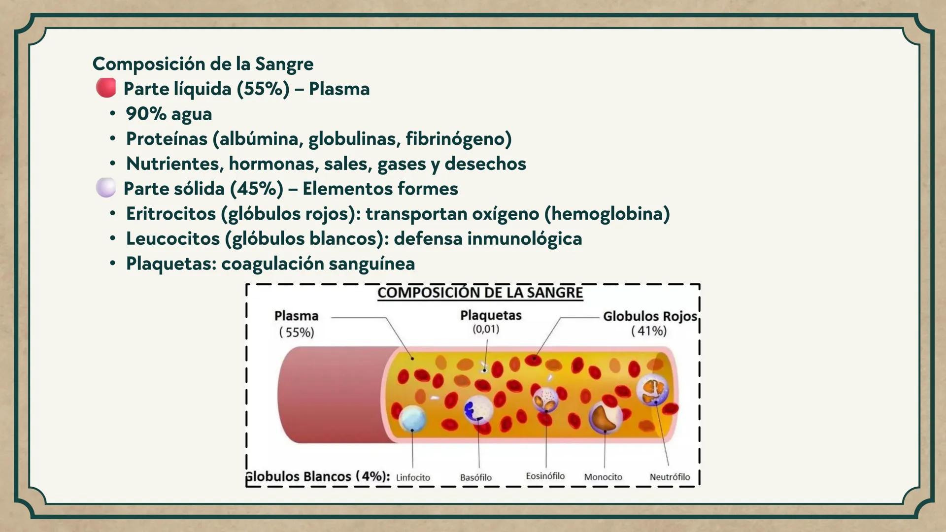# CEPRE BICENTENARIO
# CAP 04: REPASO
# DE ANATOMÍA
Enc.: Erick F. Ludeña A. 1. ¿Qué tipo de tejido forma la epidermis?
A) Muscular liso
B