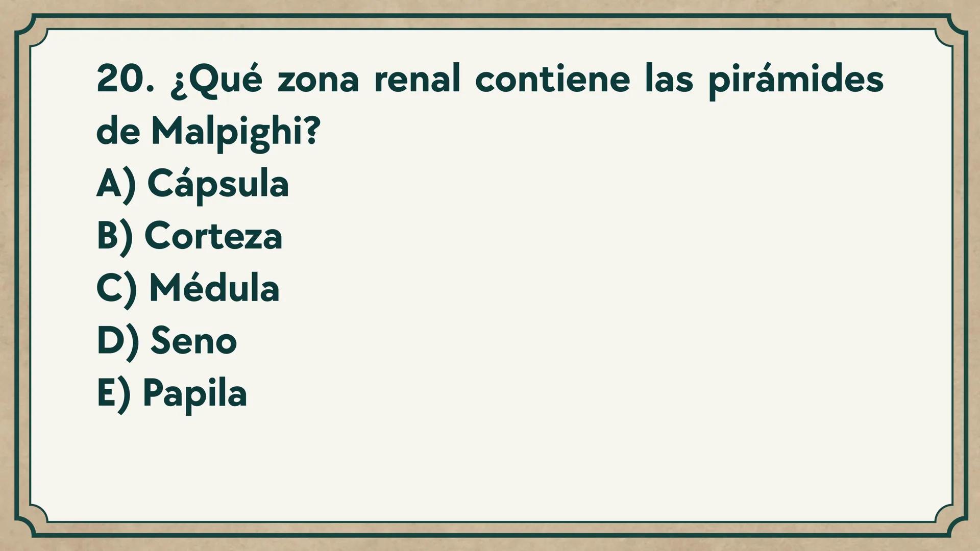 # CEPRE BICENTENARIO
# CAP 04: REPASO
# DE ANATOMÍA
Enc.: Erick F. Ludeña A. 1. ¿Qué tipo de tejido forma la epidermis?
A) Muscular liso
B