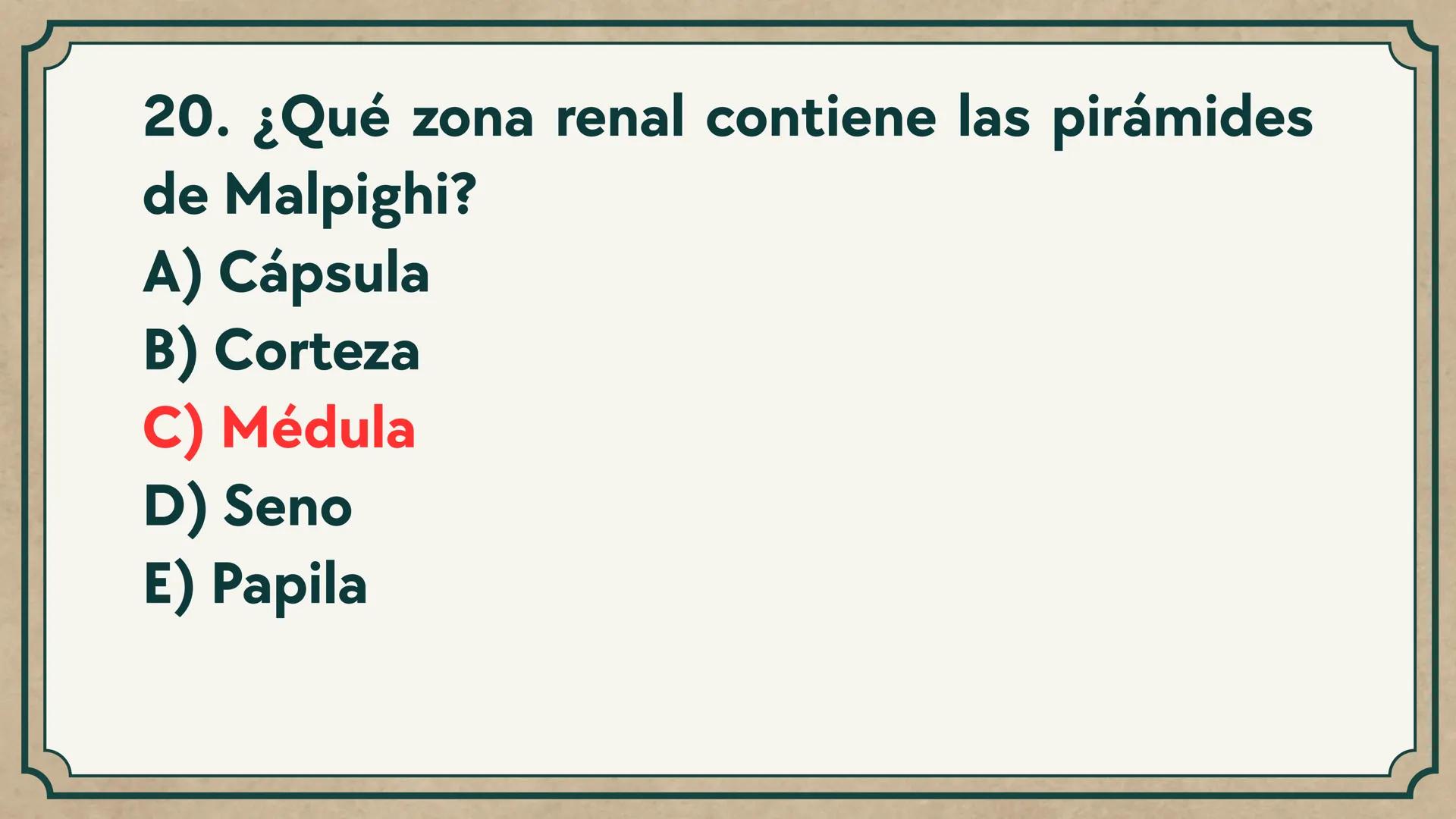 # CEPRE BICENTENARIO
# CAP 04: REPASO
# DE ANATOMÍA
Enc.: Erick F. Ludeña A. 1. ¿Qué tipo de tejido forma la epidermis?
A) Muscular liso
B