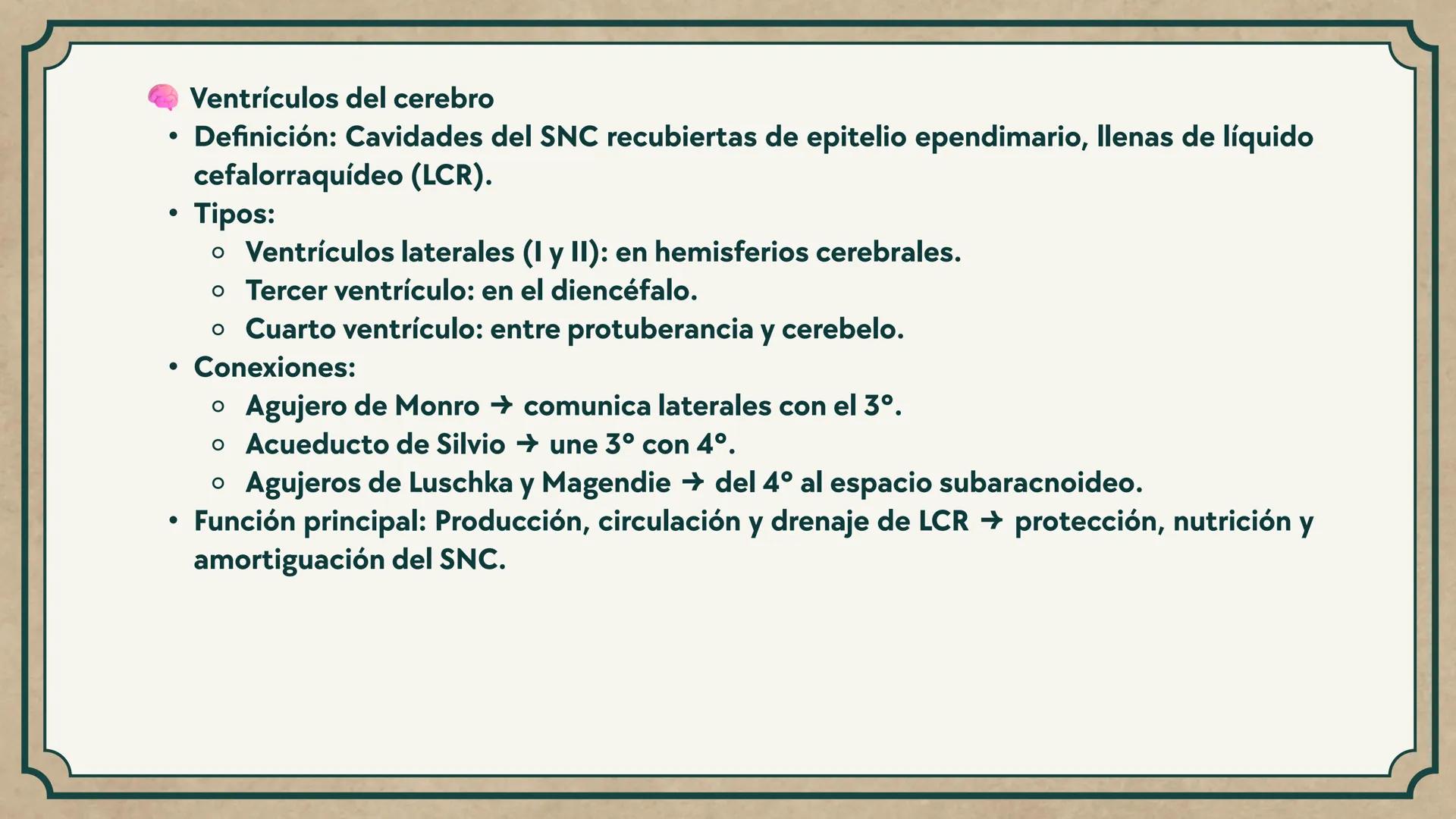 # CEPRE BICENTENARIO
# CAP 04: REPASO
# DE ANATOMÍA
Enc.: Erick F. Ludeña A. 1. ¿Qué tipo de tejido forma la epidermis?
A) Muscular liso
B