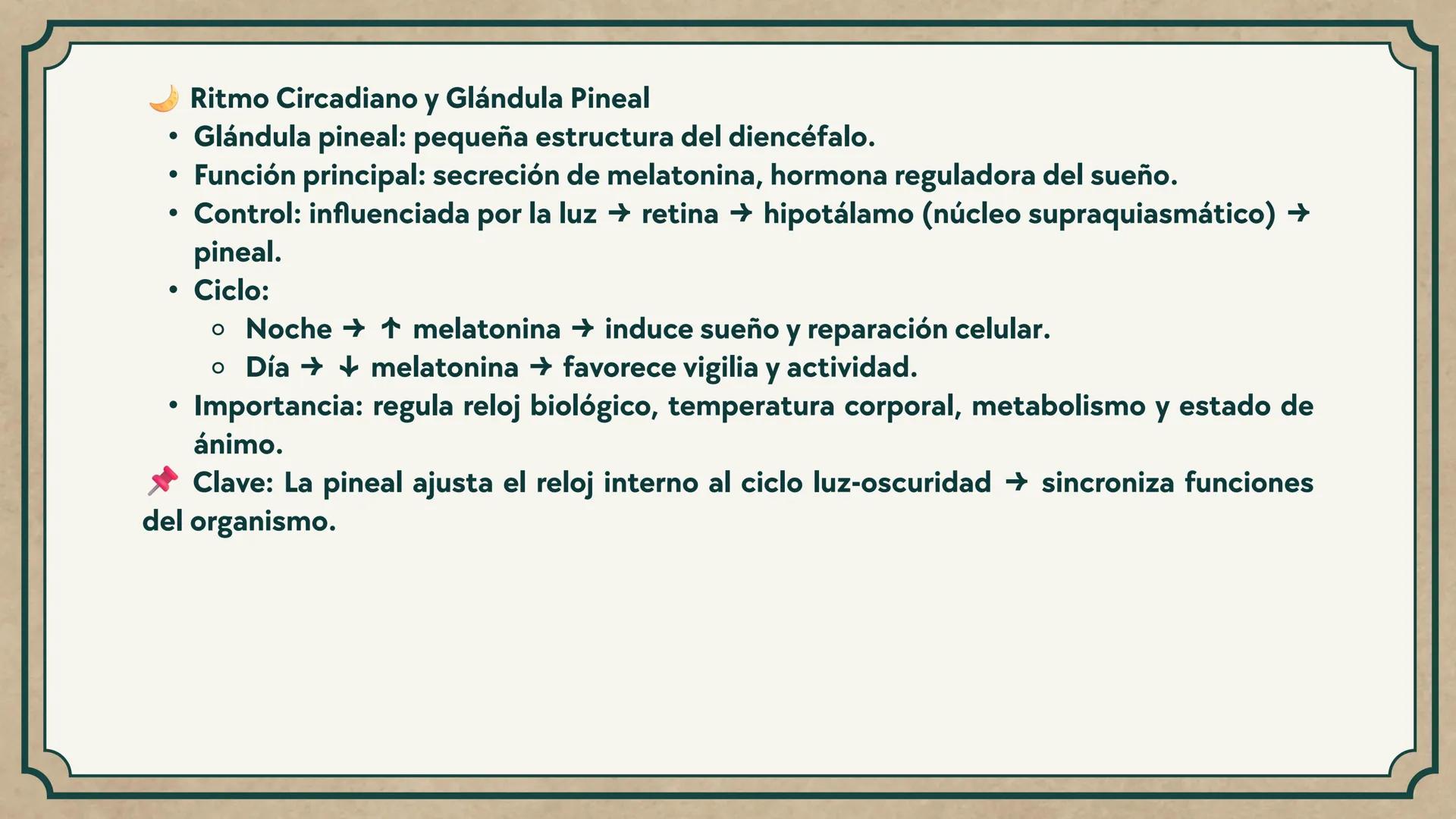 # CEPRE BICENTENARIO
# CAP 04: REPASO
# DE ANATOMÍA
Enc.: Erick F. Ludeña A. 1. ¿Qué tipo de tejido forma la epidermis?
A) Muscular liso
B