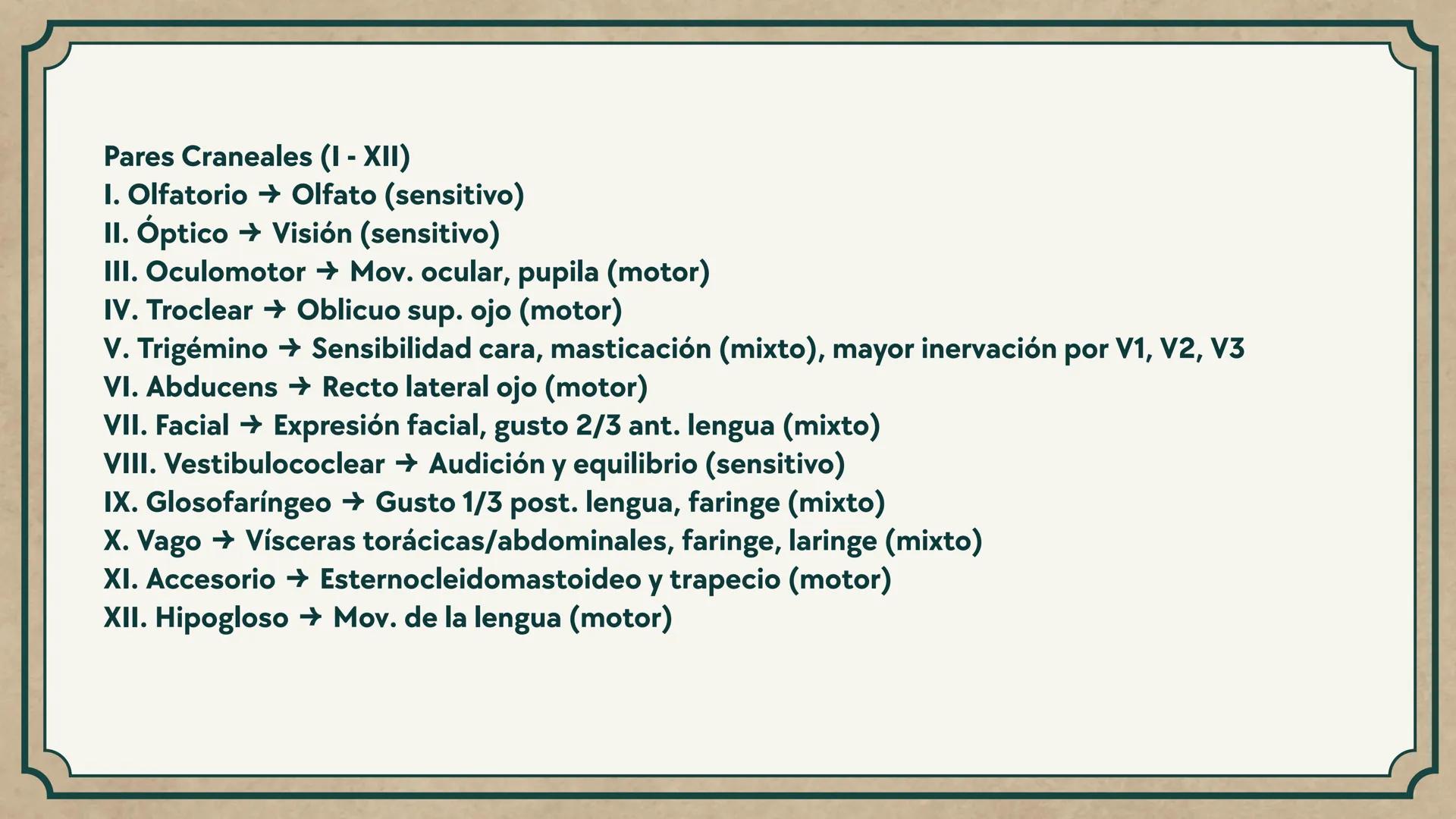 # CEPRE BICENTENARIO
# CAP 04: REPASO
# DE ANATOMÍA
Enc.: Erick F. Ludeña A. 1. ¿Qué tipo de tejido forma la epidermis?
A) Muscular liso
B
