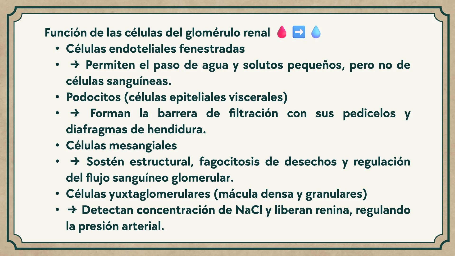 # CEPRE BICENTENARIO
# CAP 04: REPASO
# DE ANATOMÍA
Enc.: Erick F. Ludeña A. 1. ¿Qué tipo de tejido forma la epidermis?
A) Muscular liso
B