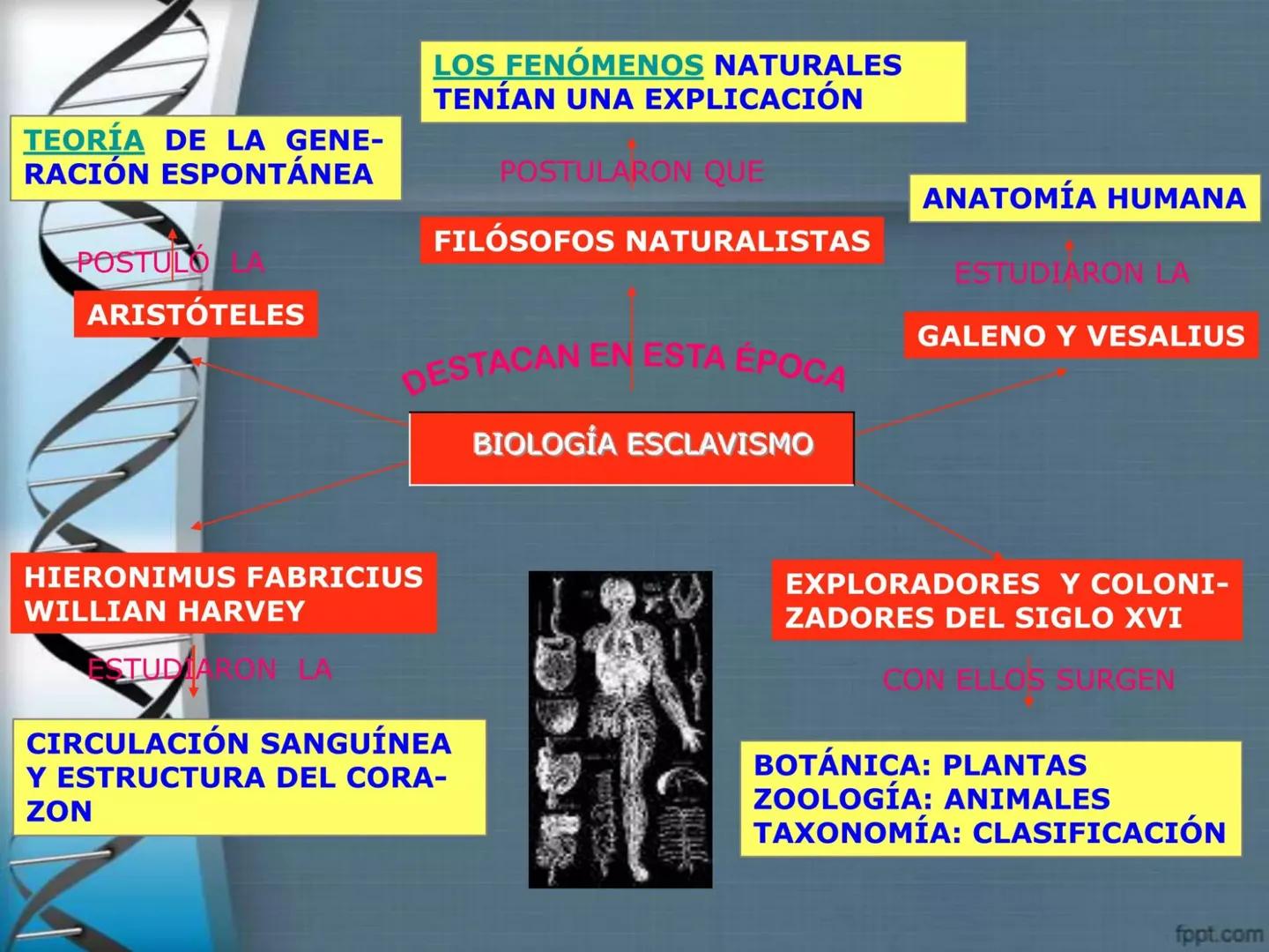 # CEPRE BICENTENARIO
# CAPÍTULO 01:
# LA BIOLOGÍA COMO
# CIENCIA
DOCENTE: MANUEL BARDALES # CIENCIA
* Ángeles. 2007, refiere que “es el