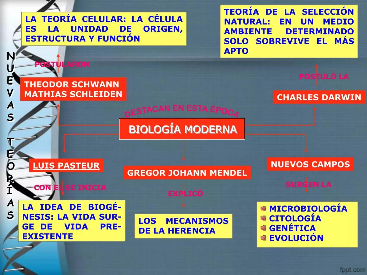 # CEPRE BICENTENARIO
# CAPÍTULO 01:
# LA BIOLOGÍA COMO
# CIENCIA
DOCENTE: MANUEL BARDALES # CIENCIA
* Ángeles. 2007, refiere que “es el