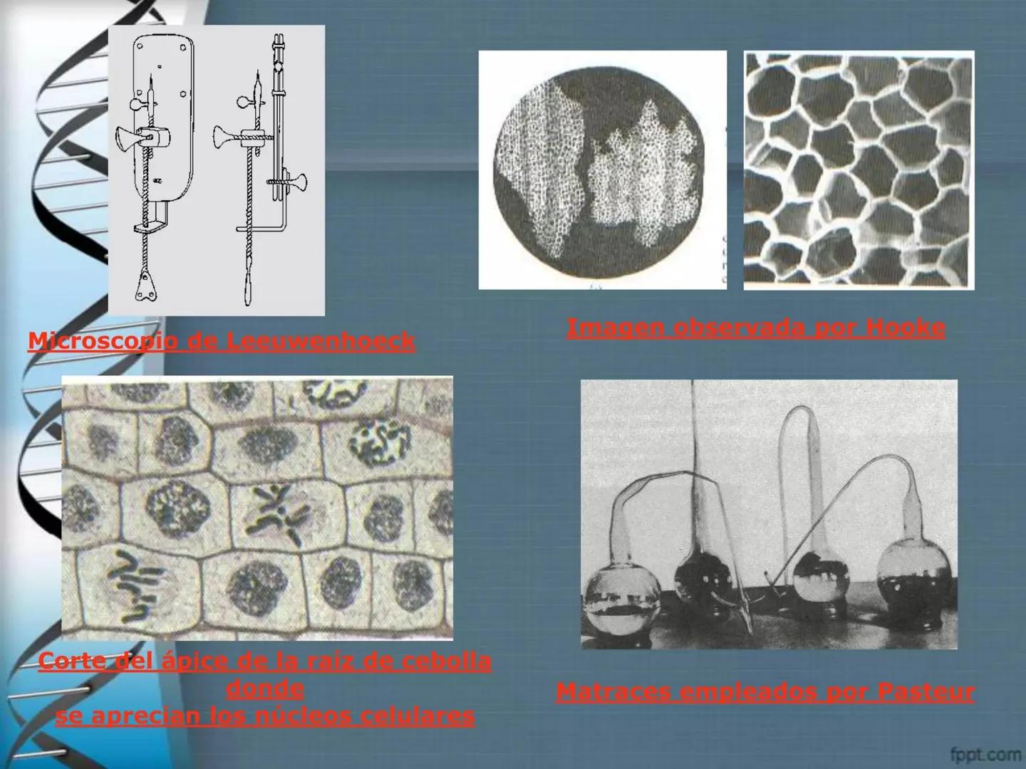 # CEPRE BICENTENARIO
# CAPÍTULO 01:
# LA BIOLOGÍA COMO
# CIENCIA
DOCENTE: MANUEL BARDALES # CIENCIA
* Ángeles. 2007, refiere que “es el
