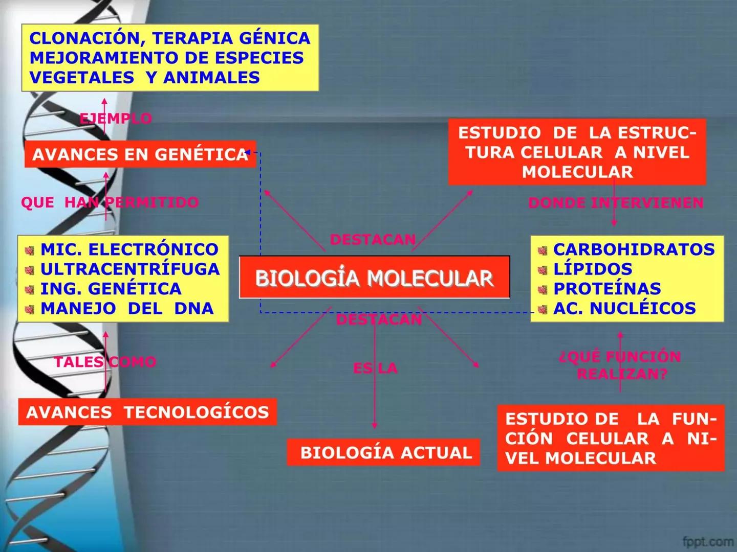# CEPRE BICENTENARIO
# CAPÍTULO 01:
# LA BIOLOGÍA COMO
# CIENCIA
DOCENTE: MANUEL BARDALES # CIENCIA
* Ángeles. 2007, refiere que “es el