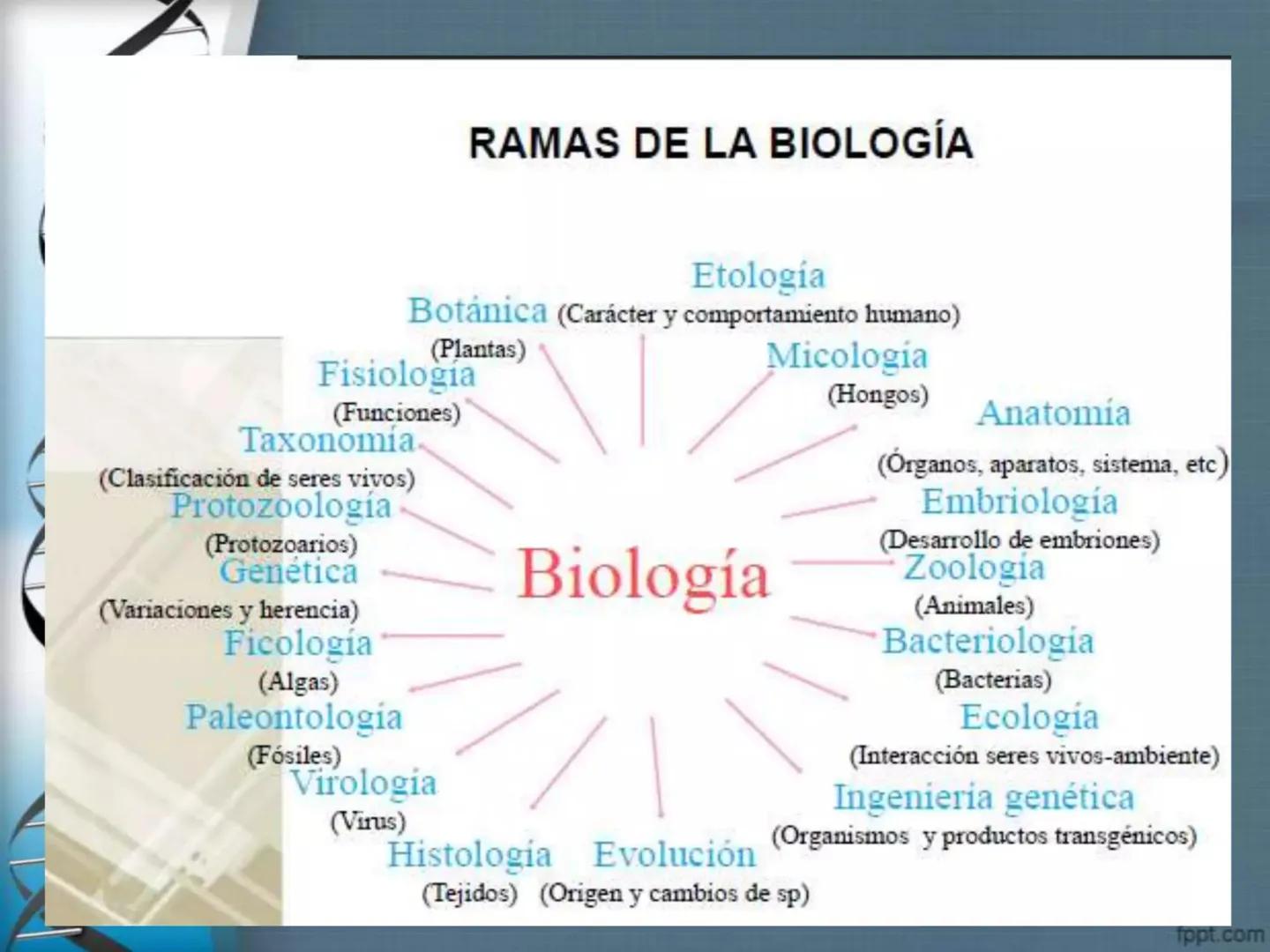 # CEPRE BICENTENARIO
# CAPÍTULO 01:
# LA BIOLOGÍA COMO
# CIENCIA
DOCENTE: MANUEL BARDALES # CIENCIA
* Ángeles. 2007, refiere que “es el