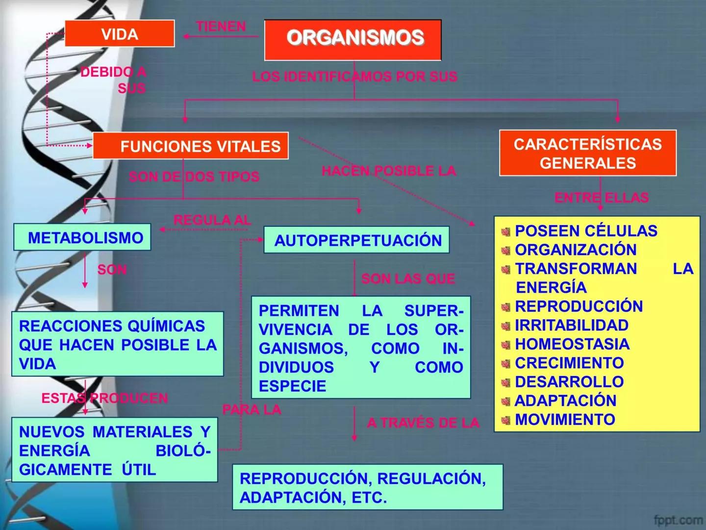 # CEPRE BICENTENARIO
# CAPÍTULO 01:
# LA BIOLOGÍA COMO
# CIENCIA
DOCENTE: MANUEL BARDALES # CIENCIA
* Ángeles. 2007, refiere que “es el