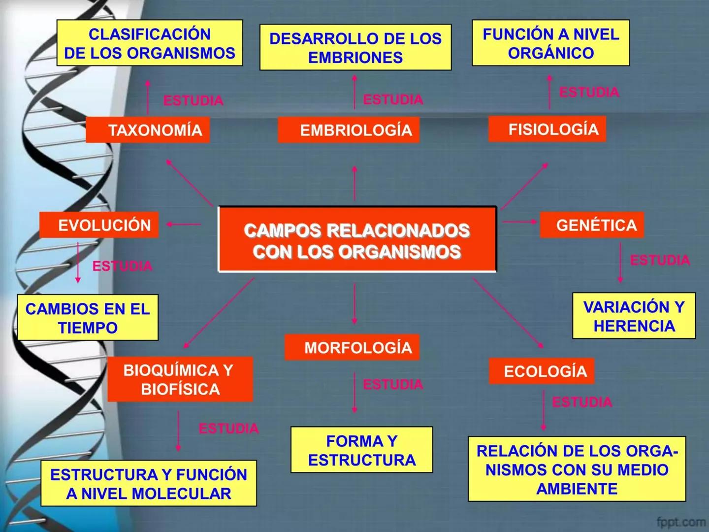 # CEPRE BICENTENARIO
# CAPÍTULO 01:
# LA BIOLOGÍA COMO
# CIENCIA
DOCENTE: MANUEL BARDALES # CIENCIA
* Ángeles. 2007, refiere que “es el