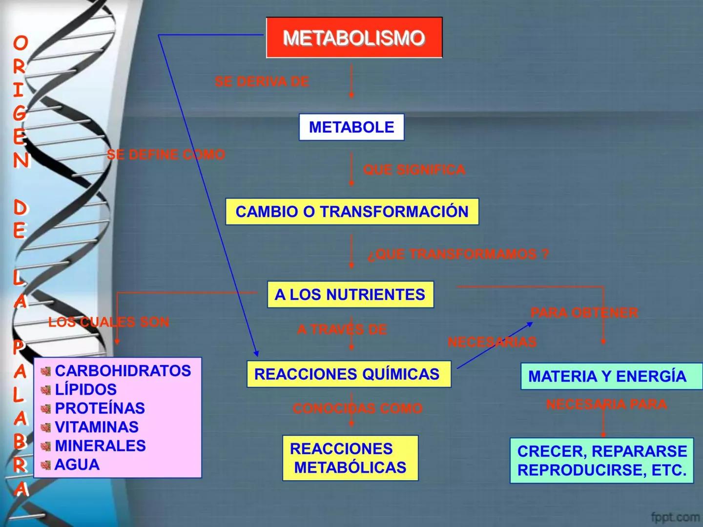 # CEPRE BICENTENARIO
# CAPÍTULO 01:
# LA BIOLOGÍA COMO
# CIENCIA
DOCENTE: MANUEL BARDALES # CIENCIA
* Ángeles. 2007, refiere que “es el