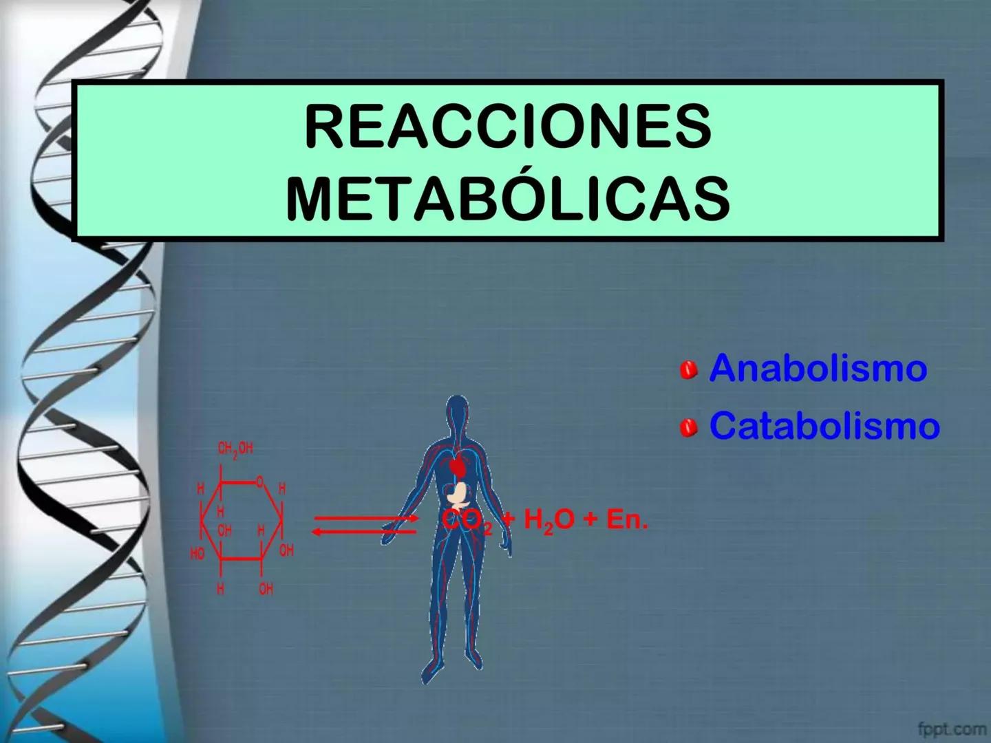# CEPRE BICENTENARIO
# CAPÍTULO 01:
# LA BIOLOGÍA COMO
# CIENCIA
DOCENTE: MANUEL BARDALES # CIENCIA
* Ángeles. 2007, refiere que “es el