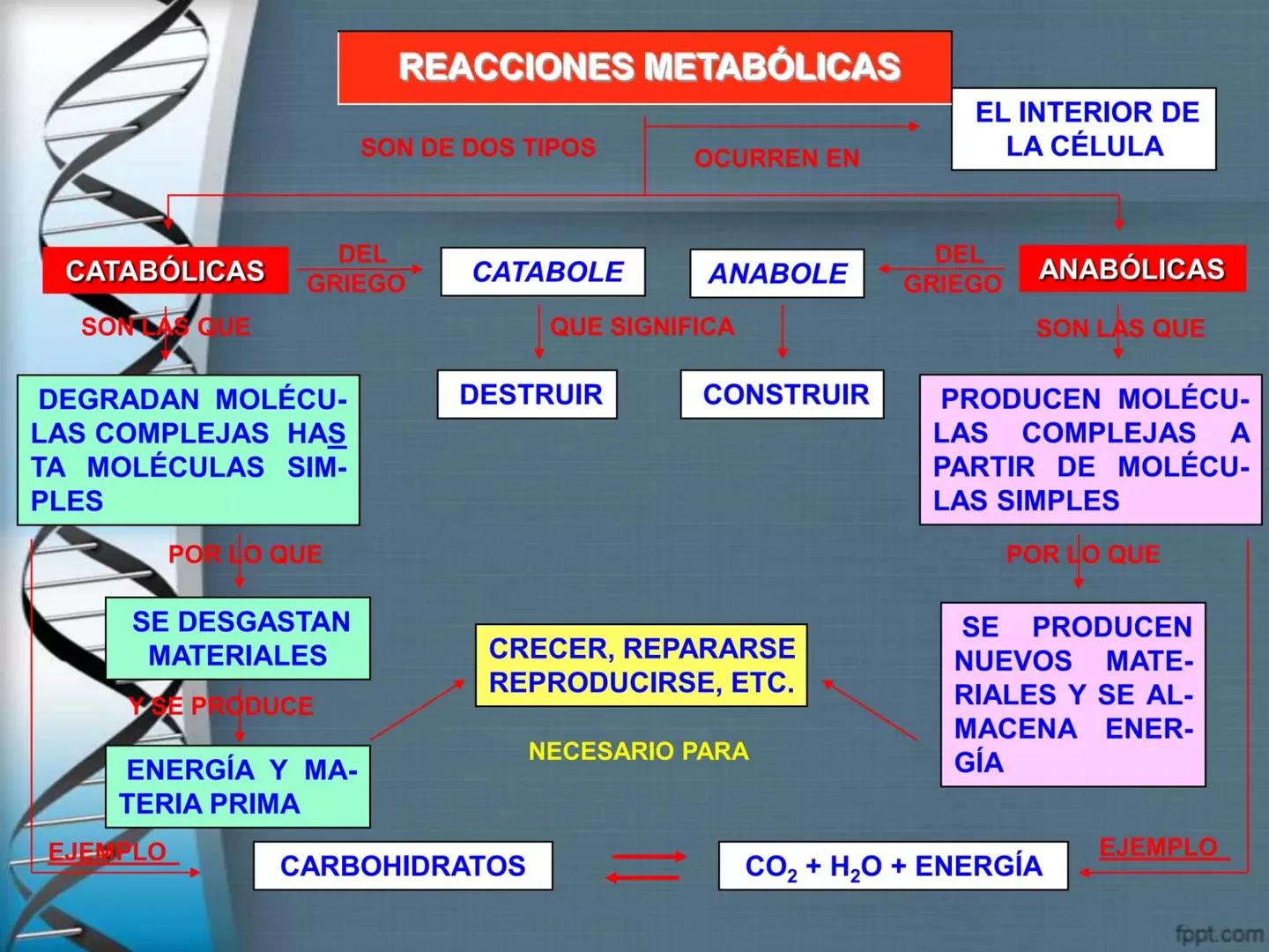 # CEPRE BICENTENARIO
# CAPÍTULO 01:
# LA BIOLOGÍA COMO
# CIENCIA
DOCENTE: MANUEL BARDALES # CIENCIA
* Ángeles. 2007, refiere que “es el