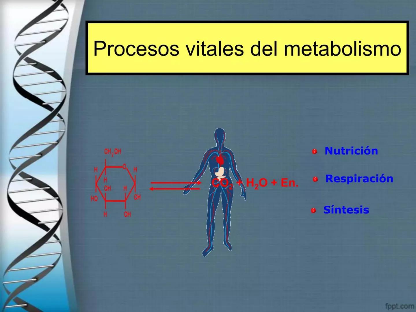 # CEPRE BICENTENARIO
# CAPÍTULO 01:
# LA BIOLOGÍA COMO
# CIENCIA
DOCENTE: MANUEL BARDALES # CIENCIA
* Ángeles. 2007, refiere que “es el