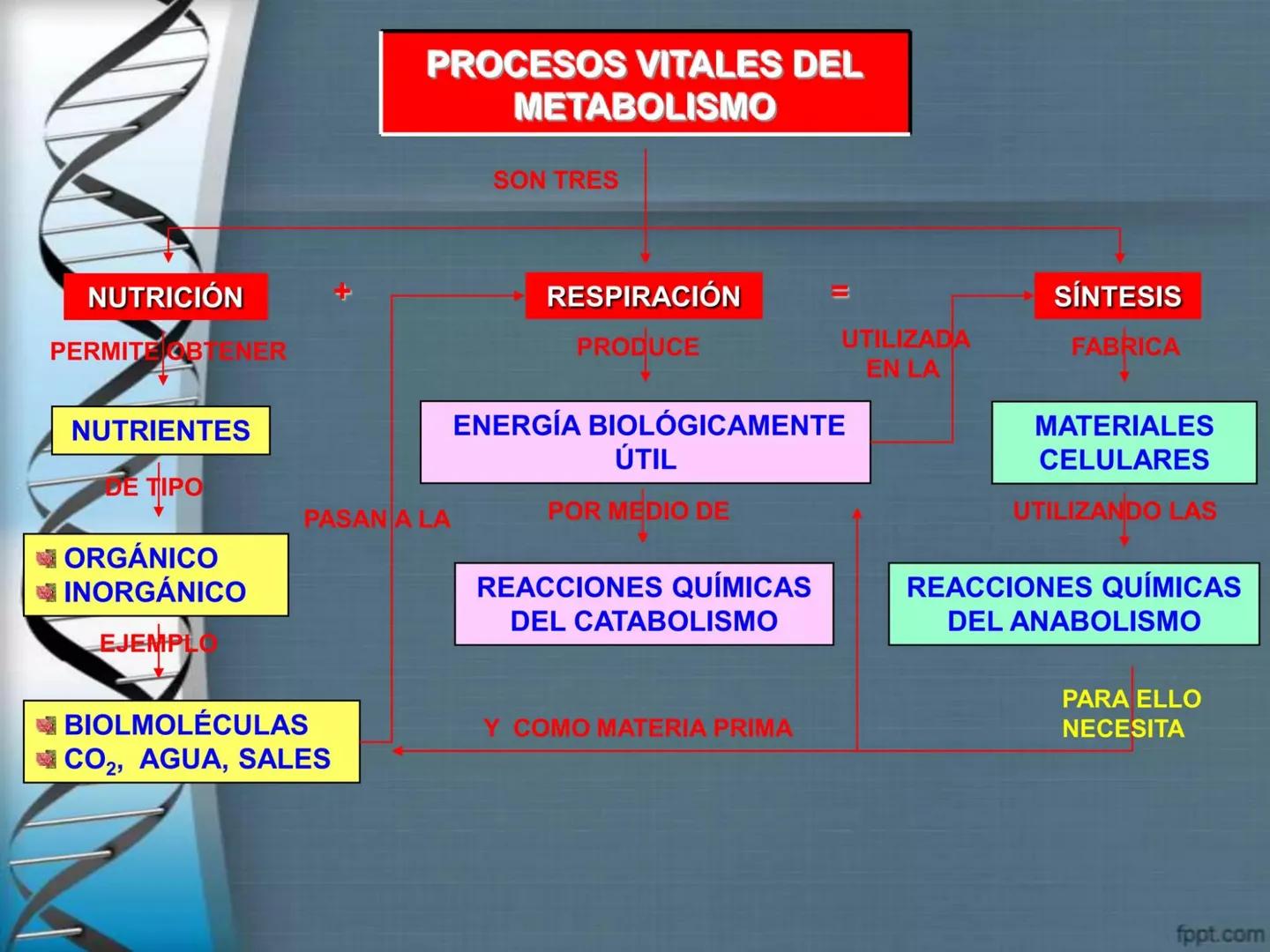 # CEPRE BICENTENARIO
# CAPÍTULO 01:
# LA BIOLOGÍA COMO
# CIENCIA
DOCENTE: MANUEL BARDALES # CIENCIA
* Ángeles. 2007, refiere que “es el