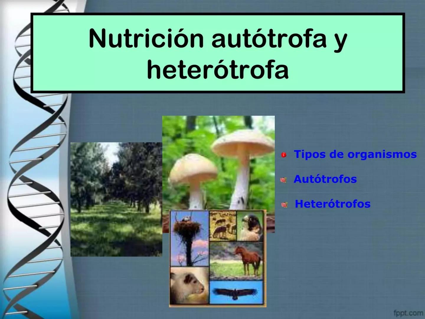 # CEPRE BICENTENARIO
# CAPÍTULO 01:
# LA BIOLOGÍA COMO
# CIENCIA
DOCENTE: MANUEL BARDALES # CIENCIA
* Ángeles. 2007, refiere que “es el