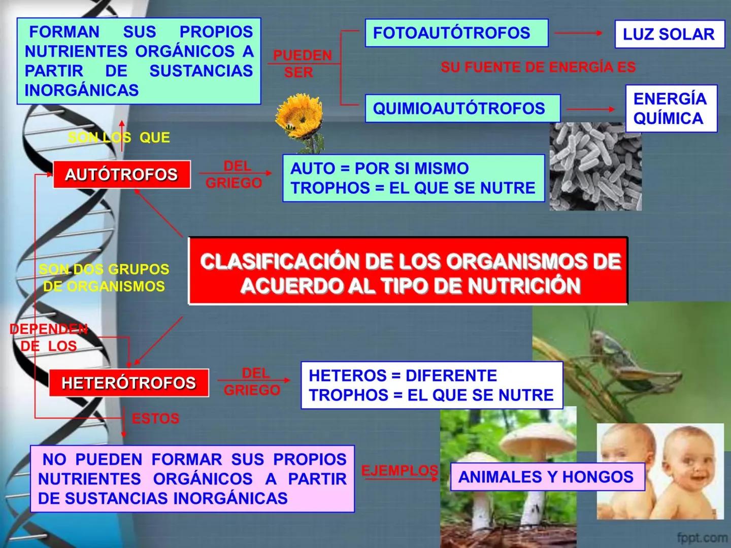 # CEPRE BICENTENARIO
# CAPÍTULO 01:
# LA BIOLOGÍA COMO
# CIENCIA
DOCENTE: MANUEL BARDALES # CIENCIA
* Ángeles. 2007, refiere que “es el