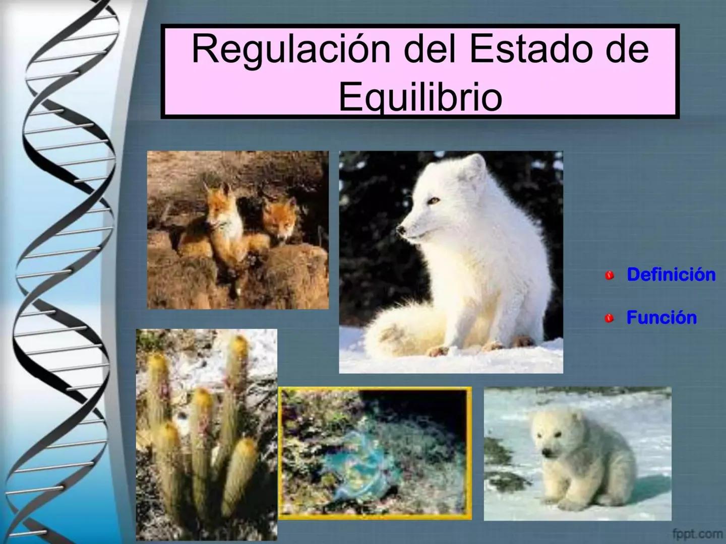 # CEPRE BICENTENARIO
# CAPÍTULO 01:
# LA BIOLOGÍA COMO
# CIENCIA
DOCENTE: MANUEL BARDALES # CIENCIA
* Ángeles. 2007, refiere que “es el