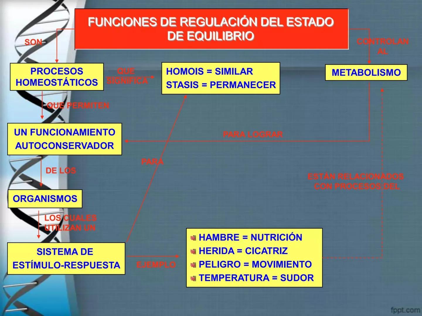 # CEPRE BICENTENARIO
# CAPÍTULO 01:
# LA BIOLOGÍA COMO
# CIENCIA
DOCENTE: MANUEL BARDALES # CIENCIA
* Ángeles. 2007, refiere que “es el