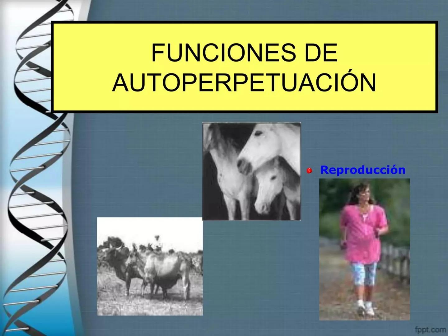 # CEPRE BICENTENARIO
# CAPÍTULO 01:
# LA BIOLOGÍA COMO
# CIENCIA
DOCENTE: MANUEL BARDALES # CIENCIA
* Ángeles. 2007, refiere que “es el