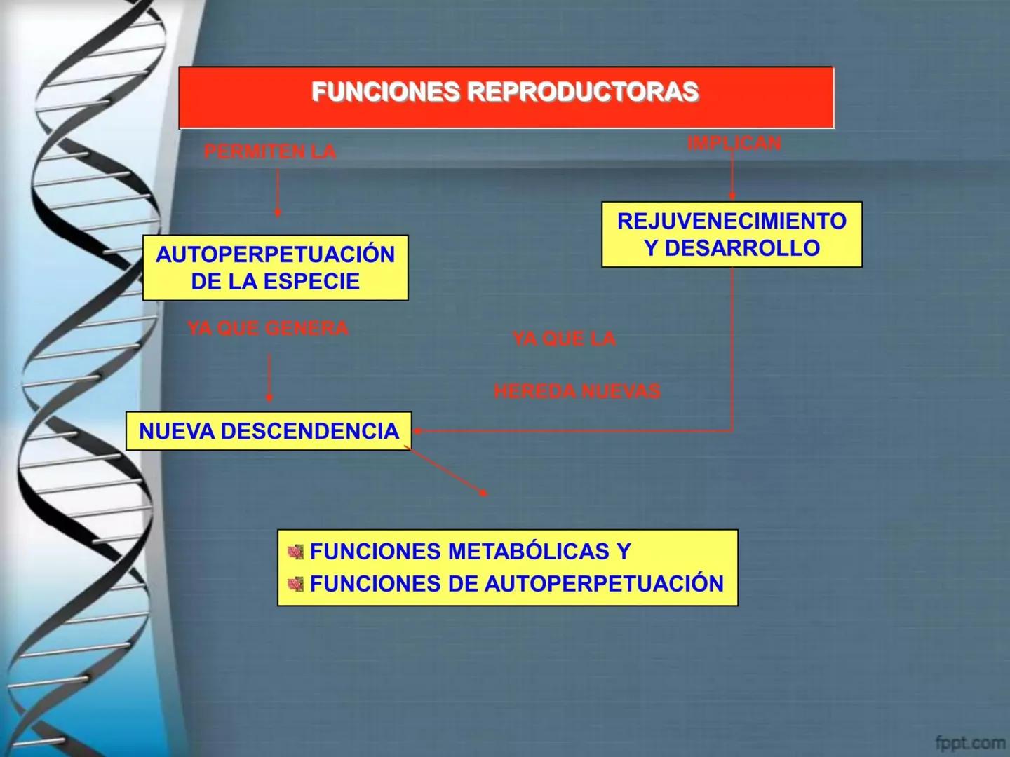 # CEPRE BICENTENARIO
# CAPÍTULO 01:
# LA BIOLOGÍA COMO
# CIENCIA
DOCENTE: MANUEL BARDALES # CIENCIA
* Ángeles. 2007, refiere que “es el
