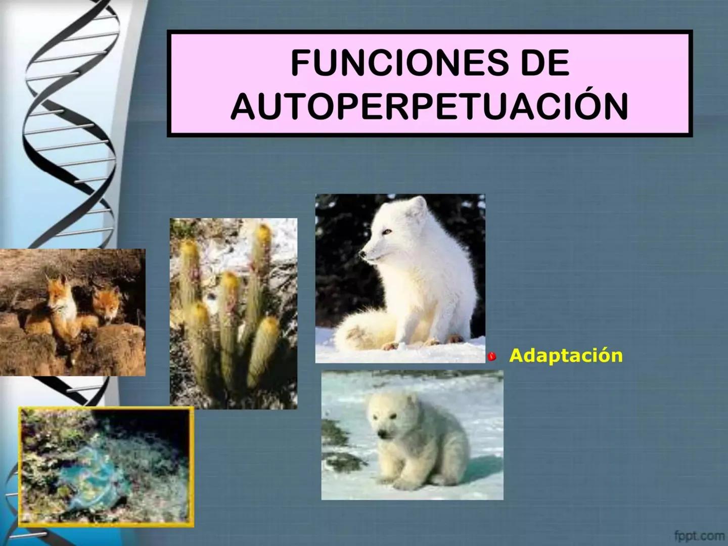 # CEPRE BICENTENARIO
# CAPÍTULO 01:
# LA BIOLOGÍA COMO
# CIENCIA
DOCENTE: MANUEL BARDALES # CIENCIA
* Ángeles. 2007, refiere que “es el