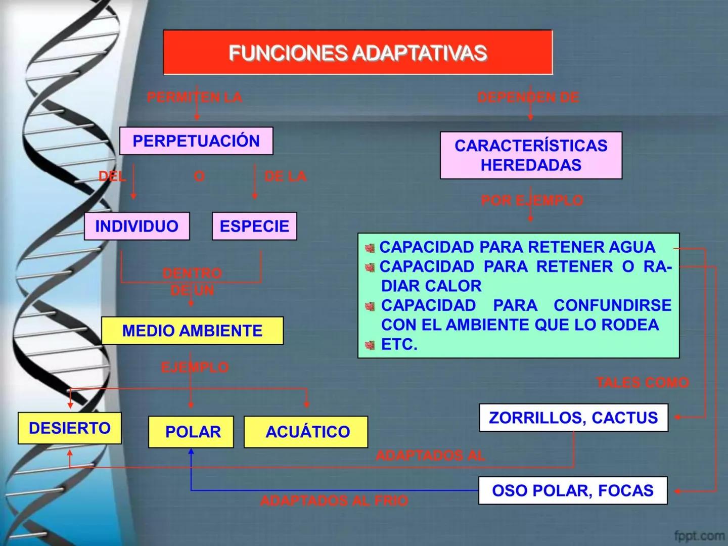 # CEPRE BICENTENARIO
# CAPÍTULO 01:
# LA BIOLOGÍA COMO
# CIENCIA
DOCENTE: MANUEL BARDALES # CIENCIA
* Ángeles. 2007, refiere que “es el