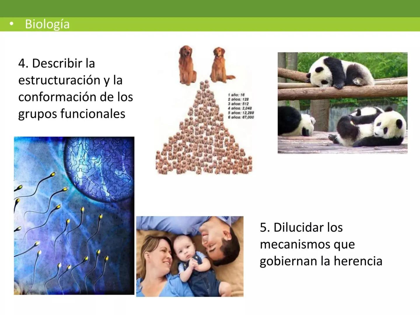 # CEPRE BICENTENARIO
# CAPÍTULO 01:
# LA BIOLOGÍA COMO
# CIENCIA
DOCENTE: MANUEL BARDALES # CIENCIA
* Ángeles. 2007, refiere que “es el