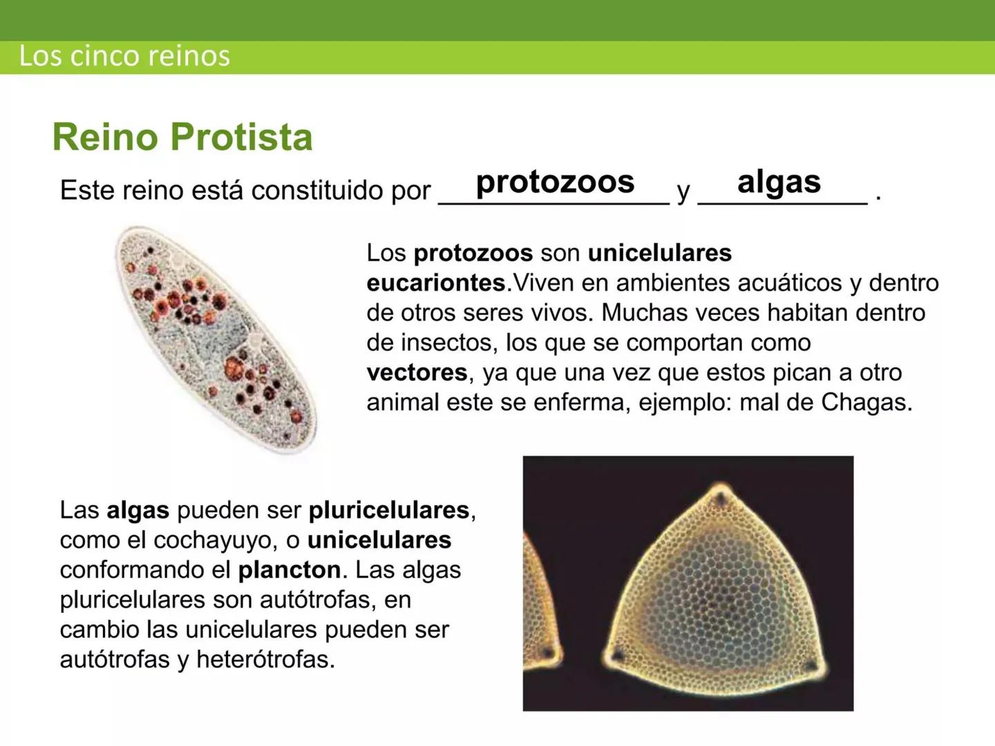 # CEPRE BICENTENARIO
# CAPÍTULO 01:
# LA BIOLOGÍA COMO
# CIENCIA
DOCENTE: MANUEL BARDALES # CIENCIA
* Ángeles. 2007, refiere que “es el