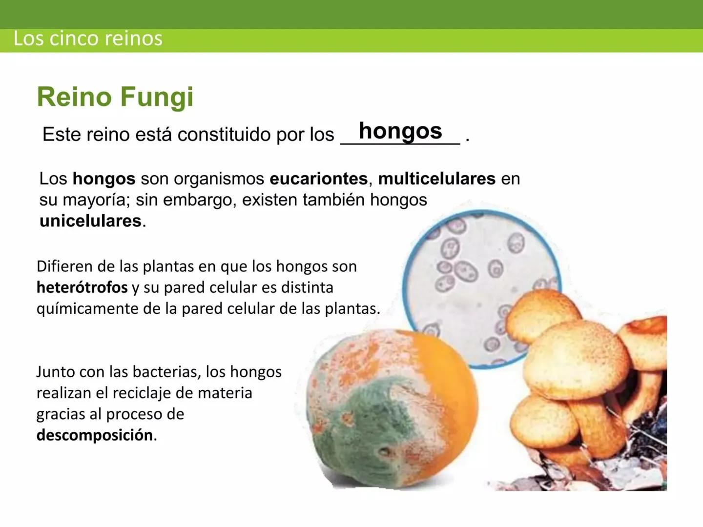 # CEPRE BICENTENARIO
# CAPÍTULO 01:
# LA BIOLOGÍA COMO
# CIENCIA
DOCENTE: MANUEL BARDALES # CIENCIA
* Ángeles. 2007, refiere que “es el