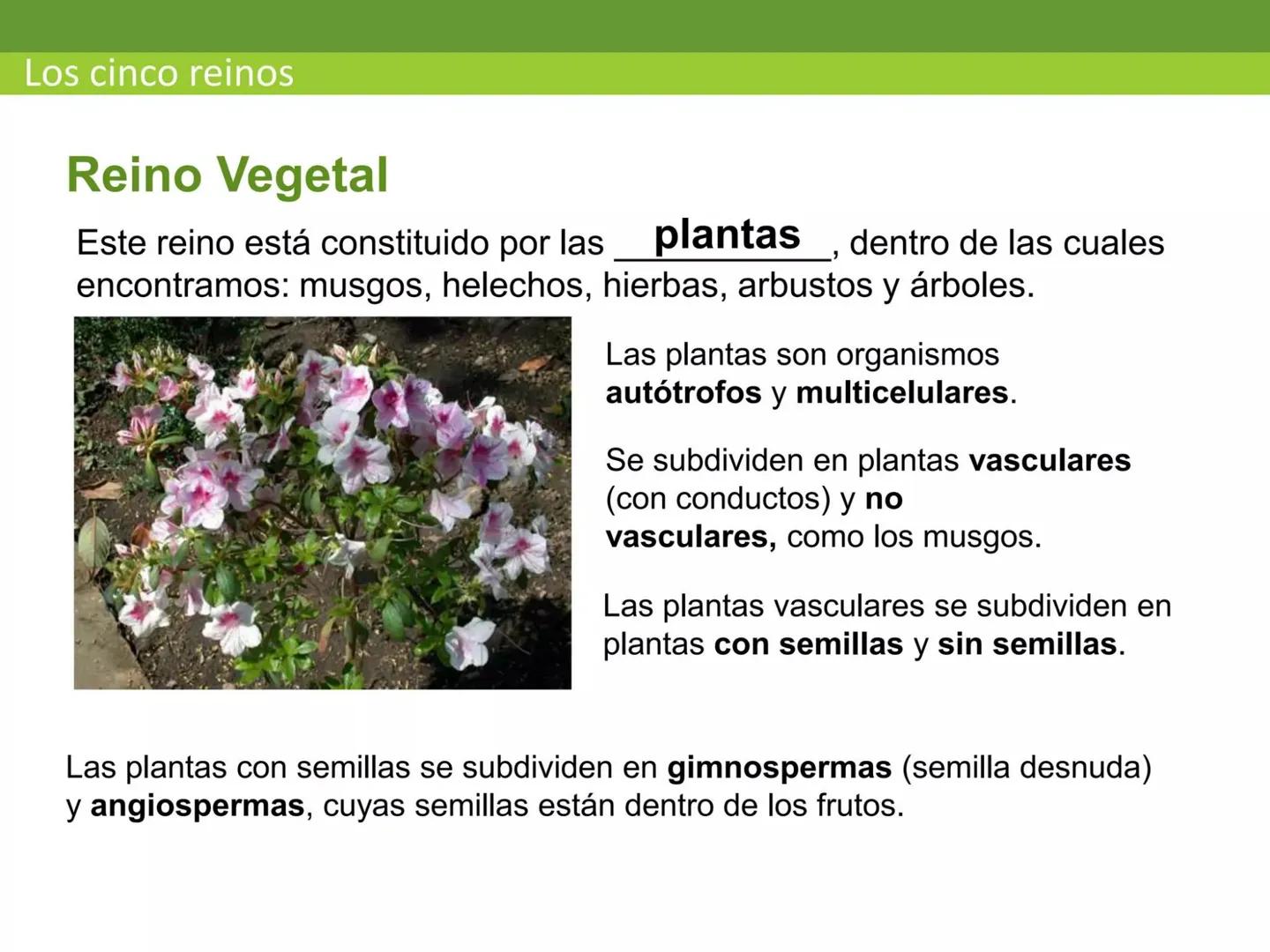 # CEPRE BICENTENARIO
# CAPÍTULO 01:
# LA BIOLOGÍA COMO
# CIENCIA
DOCENTE: MANUEL BARDALES # CIENCIA
* Ángeles. 2007, refiere que “es el