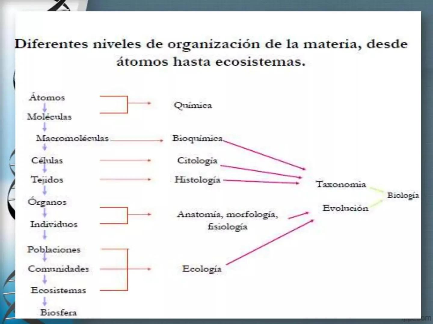# CEPRE BICENTENARIO
# CAPÍTULO 01:
# LA BIOLOGÍA COMO
# CIENCIA
DOCENTE: MANUEL BARDALES # CIENCIA
* Ángeles. 2007, refiere que “es el