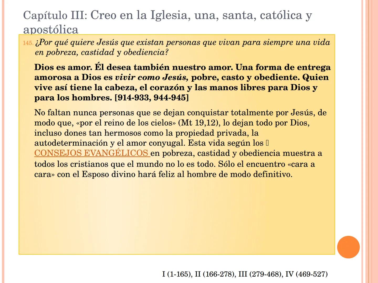 ¡Estudiad el Catecismo
con pasión y constancia!
¡Dedicadle tiempo!
Estudiadlo en el silencio de vuestro cuarto,
leedlo con un amigo,
formad
